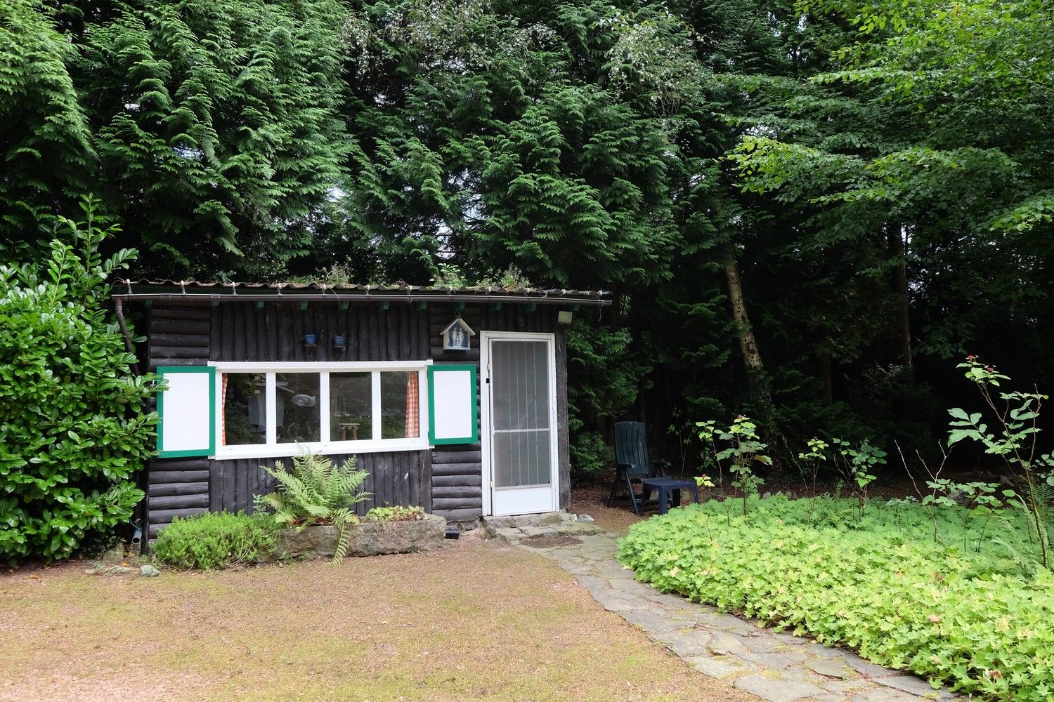 Uniek perceel met een charmante vakantiewoning midden in de natuur omgeven door een uitzonderlijke collectie van prachtige bomen. foto 11