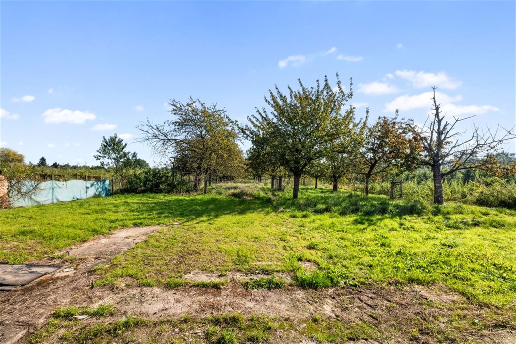 RUSTIG GELEGEN GEZINSWONING MET VEEL POTENTIEEL EN VOOR ACHTERGELEGEN TUIN IS EEN CONCESSIE MOGELIJK  foto 29