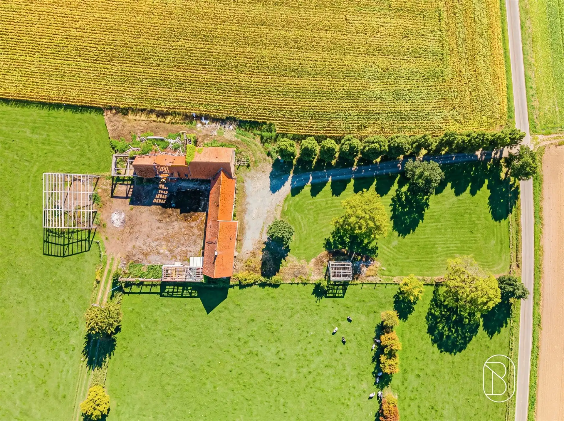 Uniek gelegen (af te breken) hoeve op maar liefst 8.282 m² foto 16