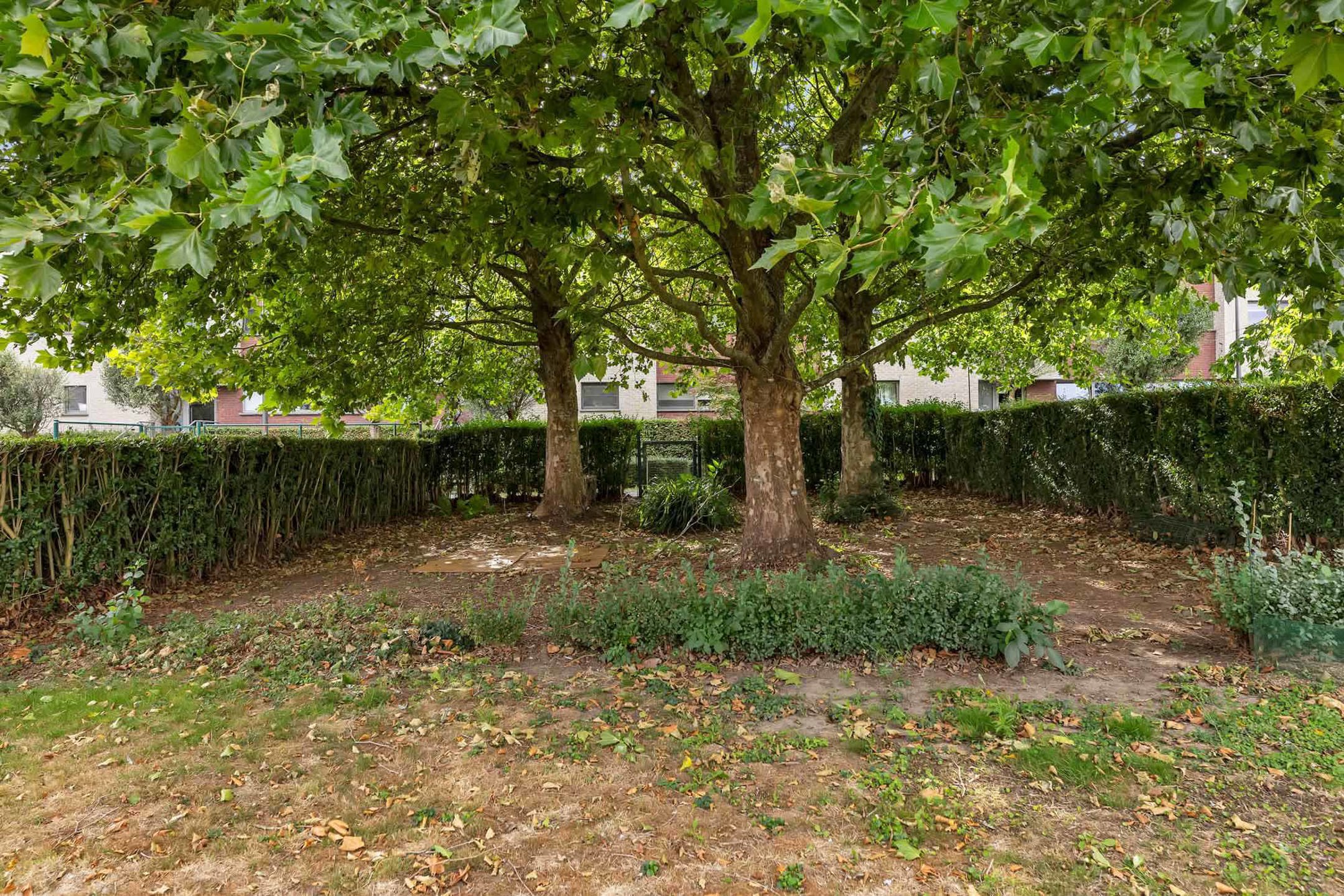 Instapklare woning met garage en tuin nabij station foto 23