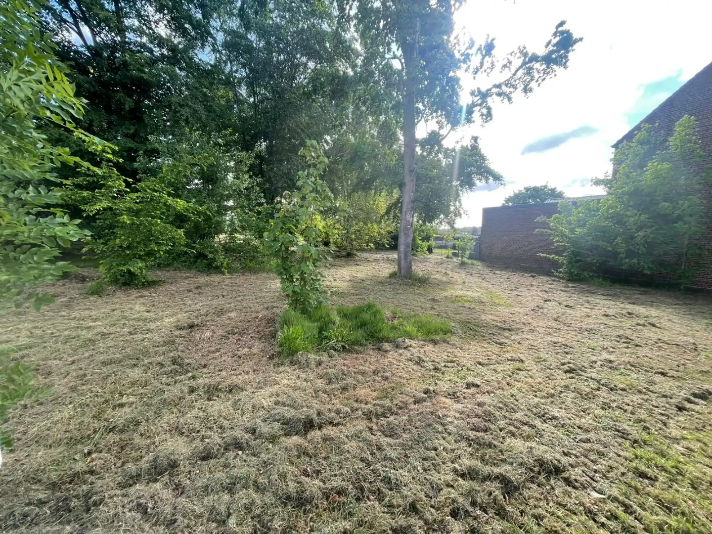 Perceel grond 16a 64ca voor open bebouwing te Drieslinter foto 5
