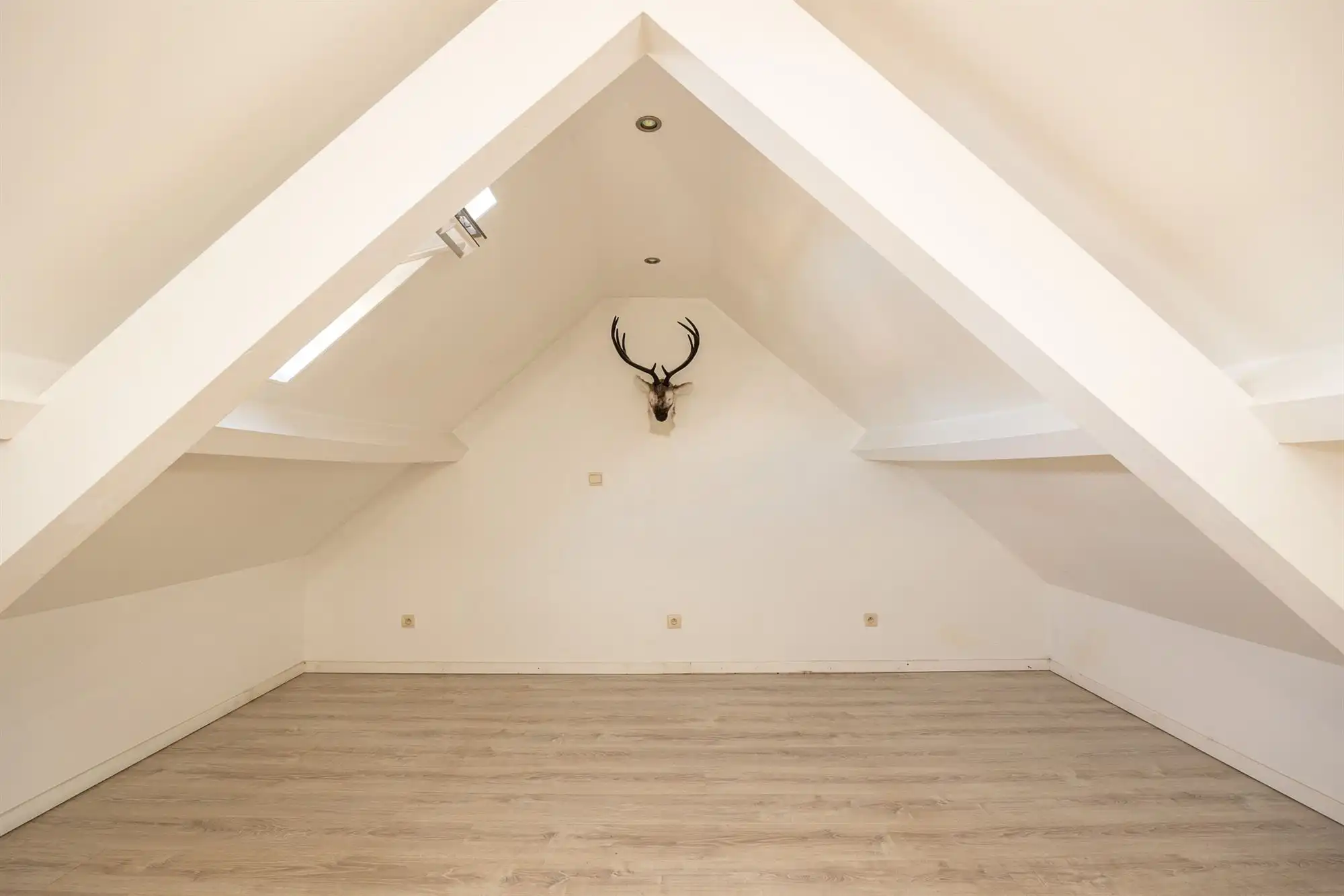 Woning met garage, magazijn, tuin + duplexapp. foto 18