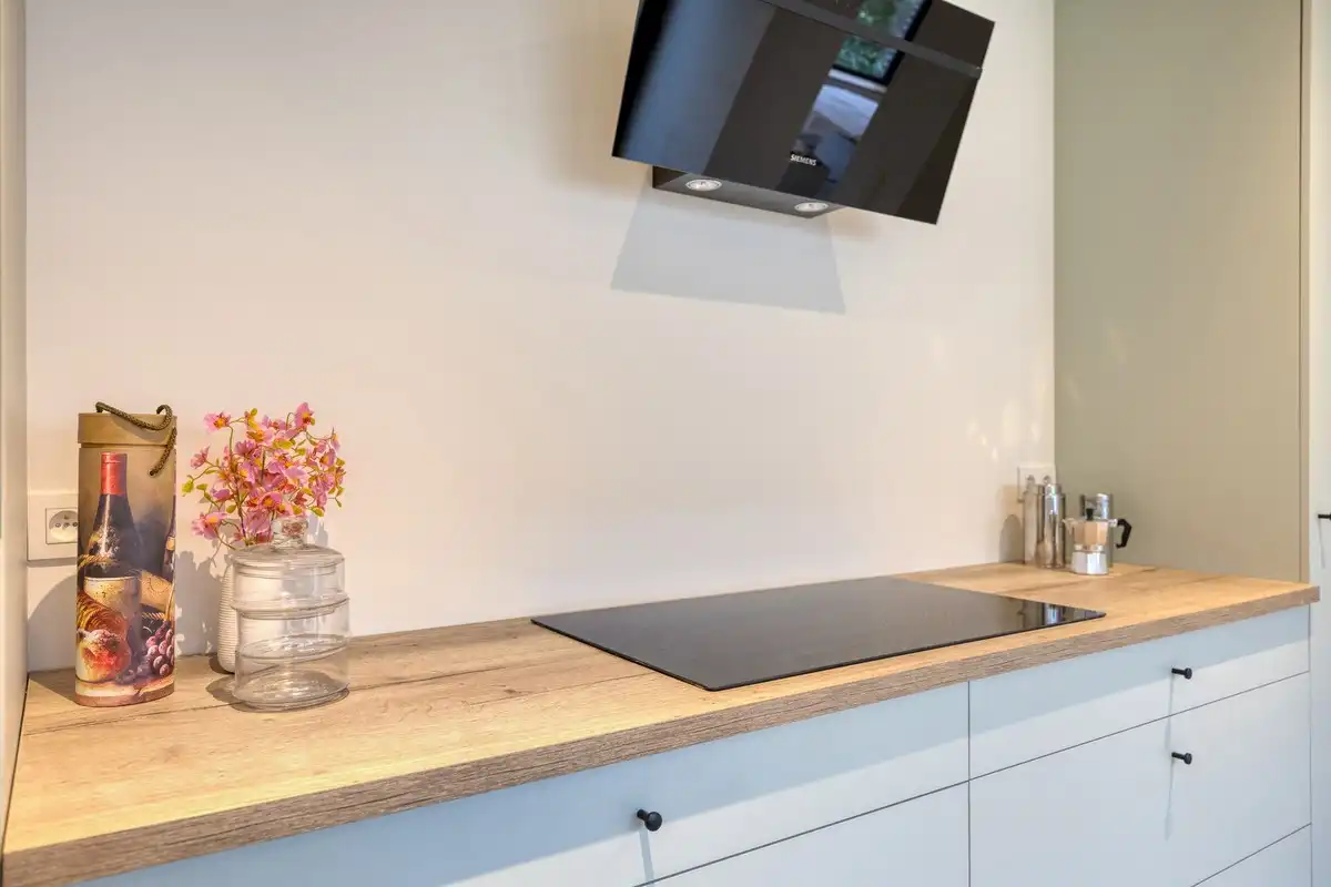 Energiezuinige, volledig gerenoveerde woning met 3 slaapkamers in Ninove foto 9