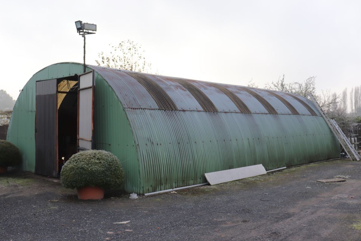 Plantenkwekerij te koop te Zwevegem foto 15