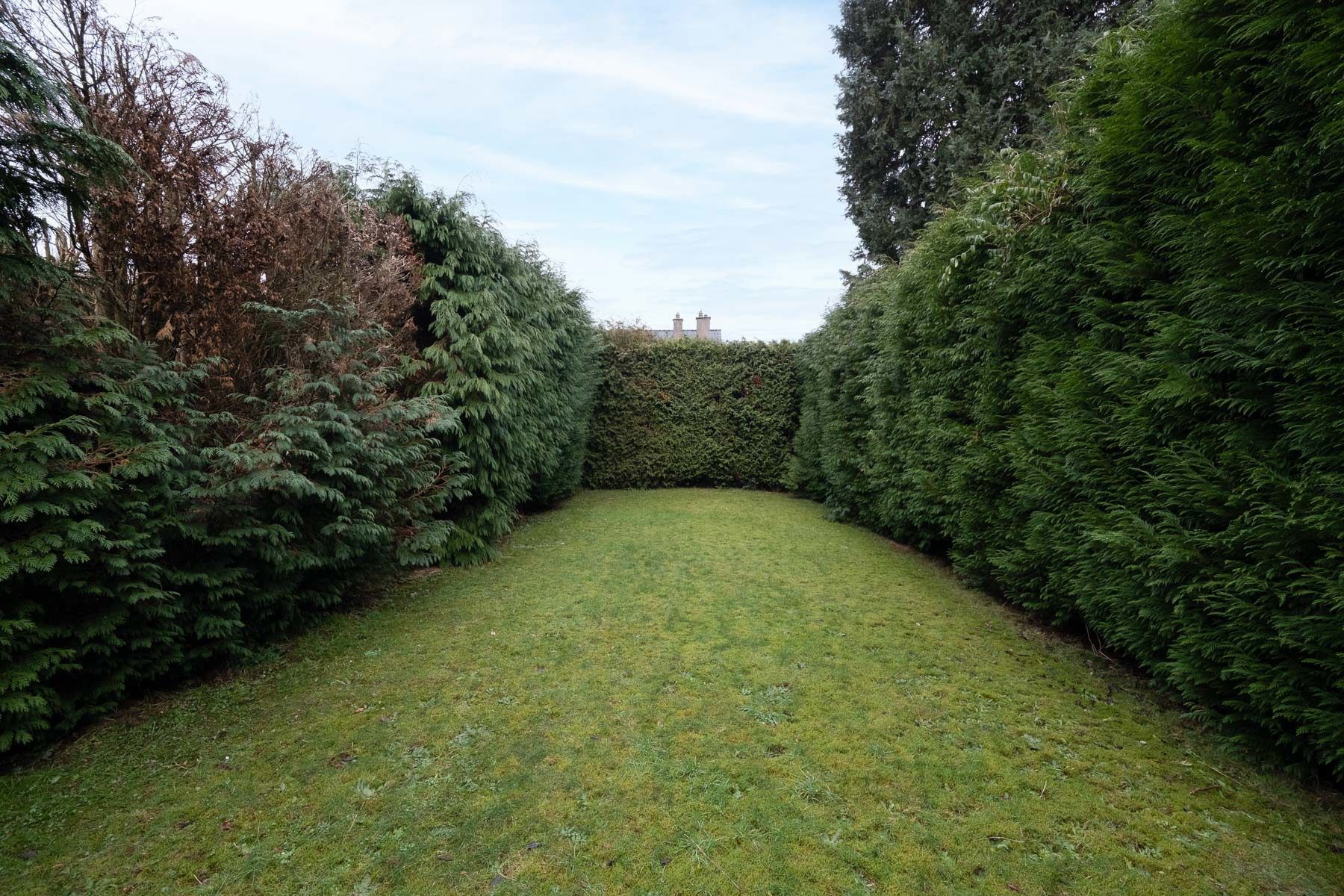 Huis te koop foto 19