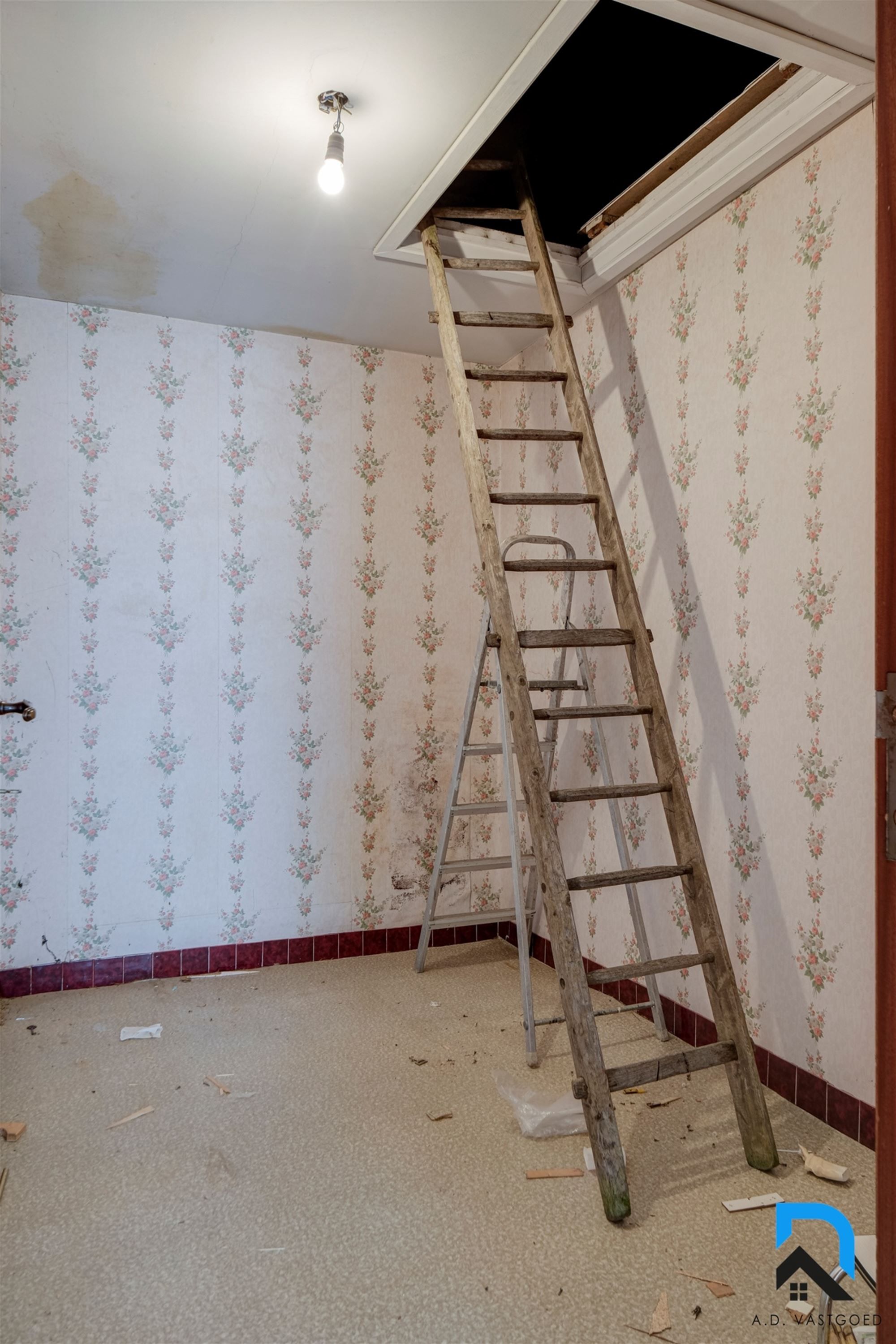 Ruime woning met 4 slaapkamers in het groen foto 24