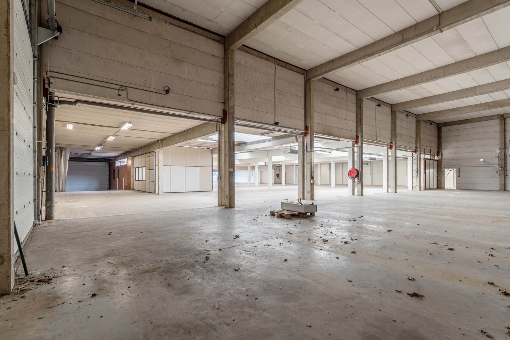 Bedrijfsgebouw (showroom/magazijn) met appartement gelegen op een perceel van 33a 50ca! foto 9