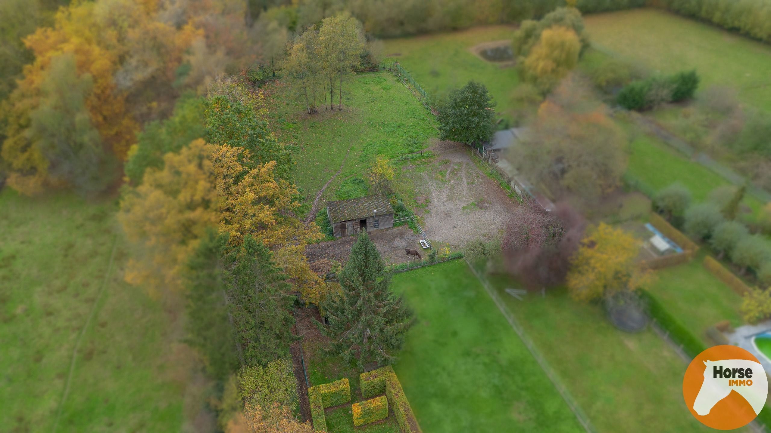 EREMBODEGEM- Ruime gezinswoning met tuin en weide  foto 34