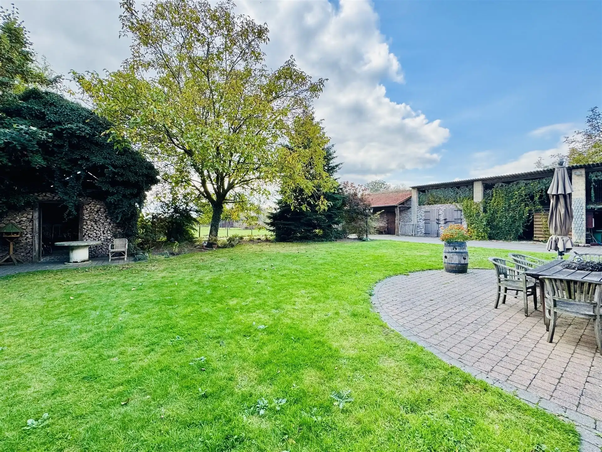 Hoeve met paardenaccomodatie. foto 6