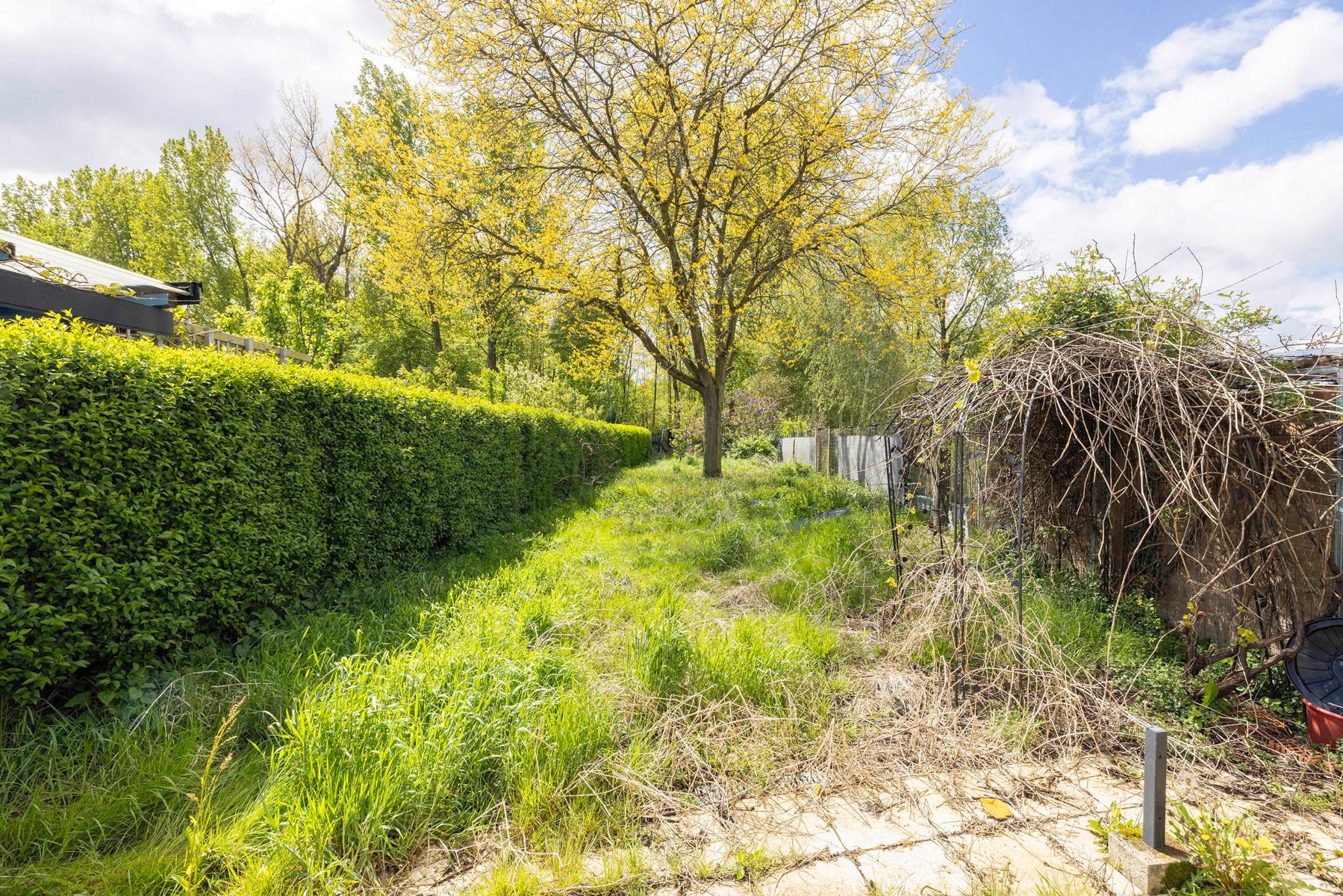 Te renoveren woning op een perceel van 509m² foto 3