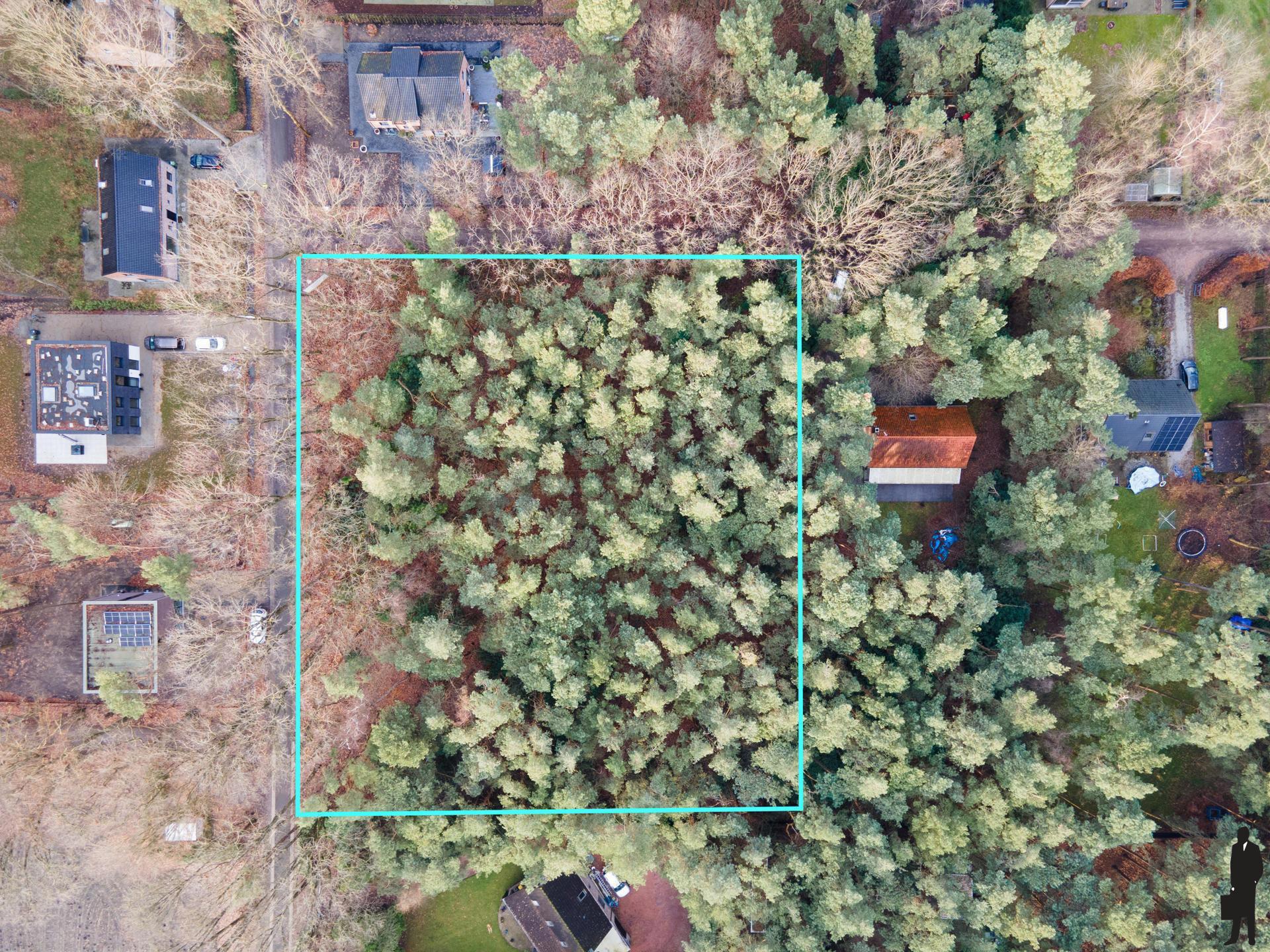 Perceel grond in bosrijke omgeving. foto 4