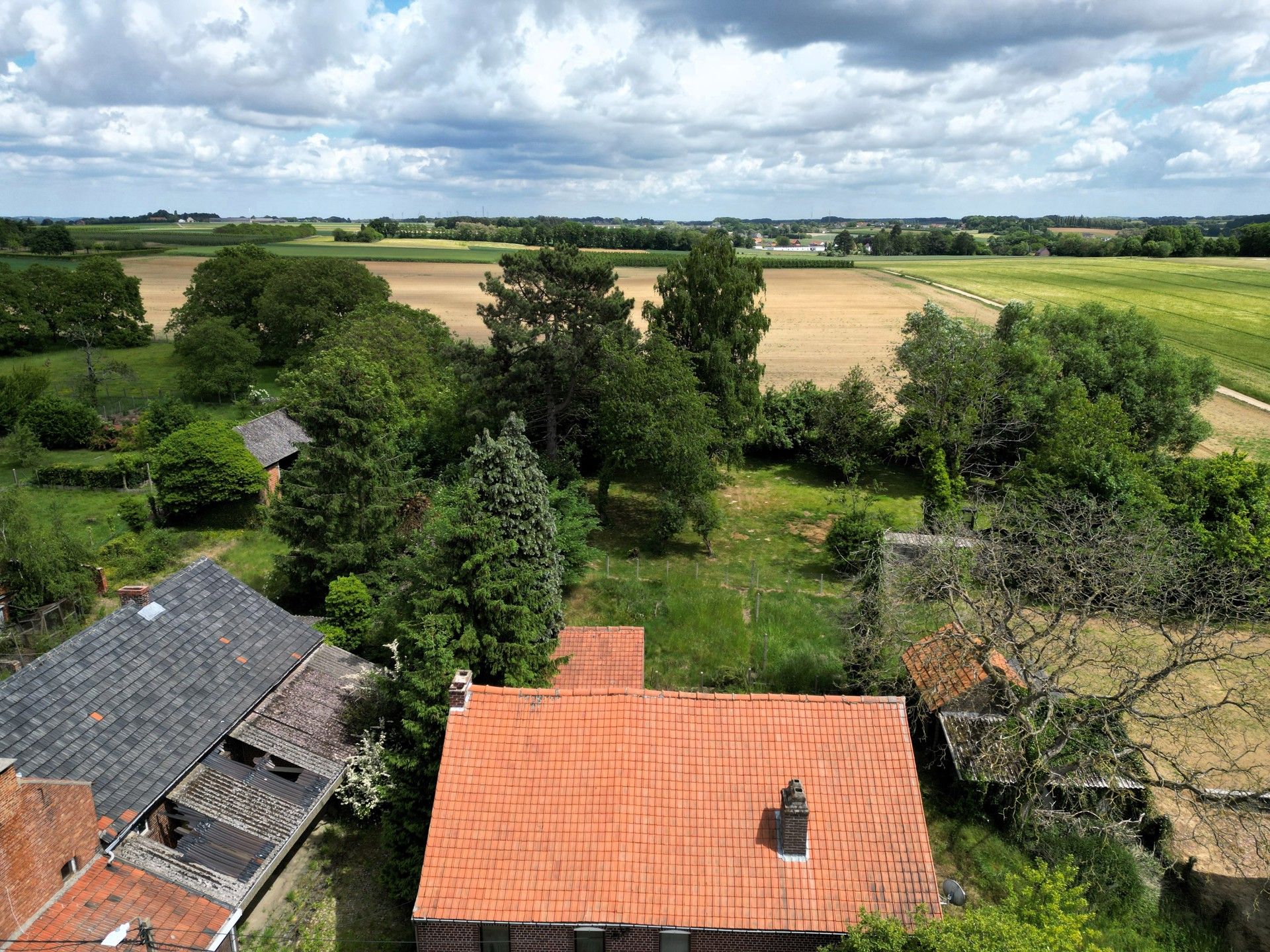 Grond te koop foto 14