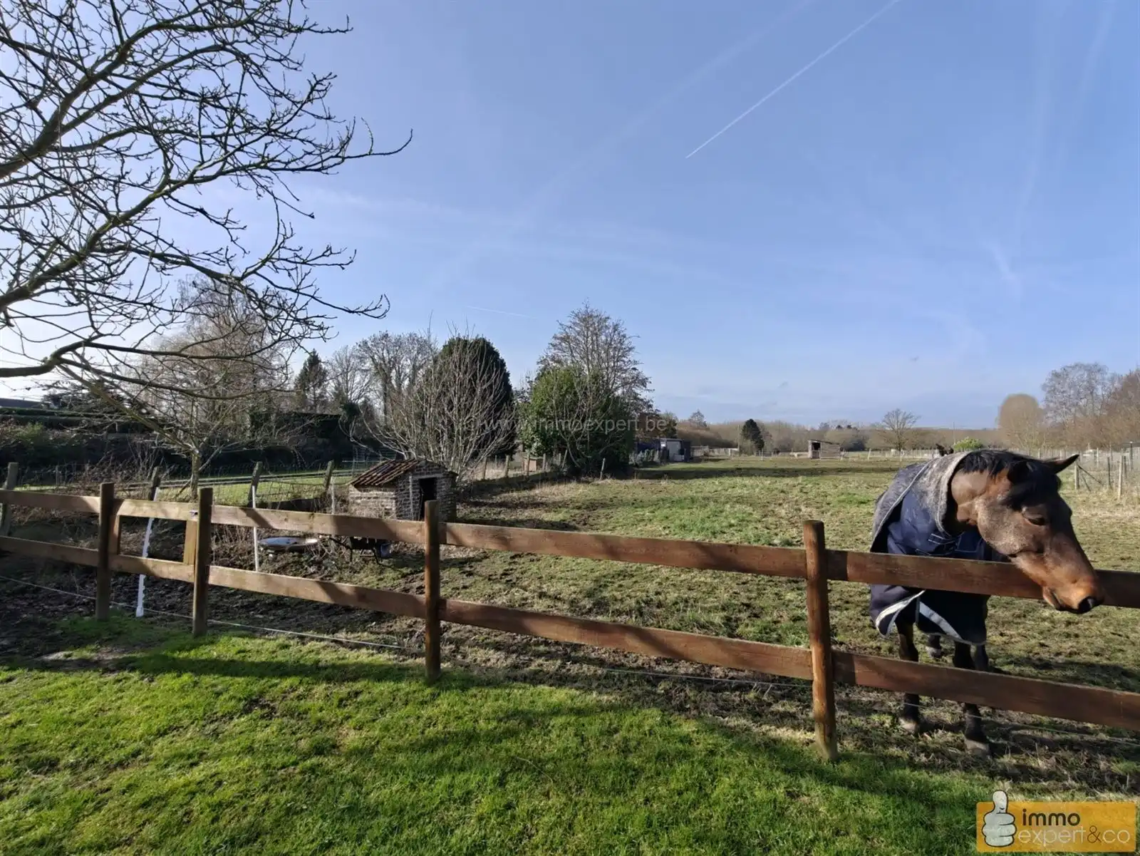 WAMBEEK: Recente, energiezuinige woning met 3 slaapkamers. foto 12