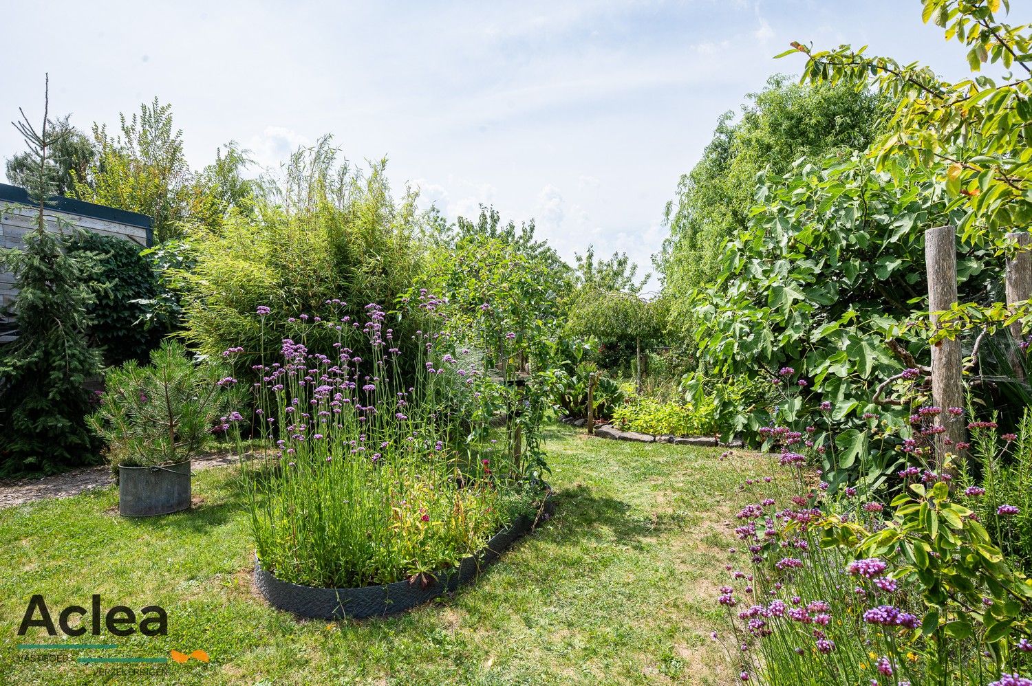 Halfopen bebouwing met weelderige tuin foto 37