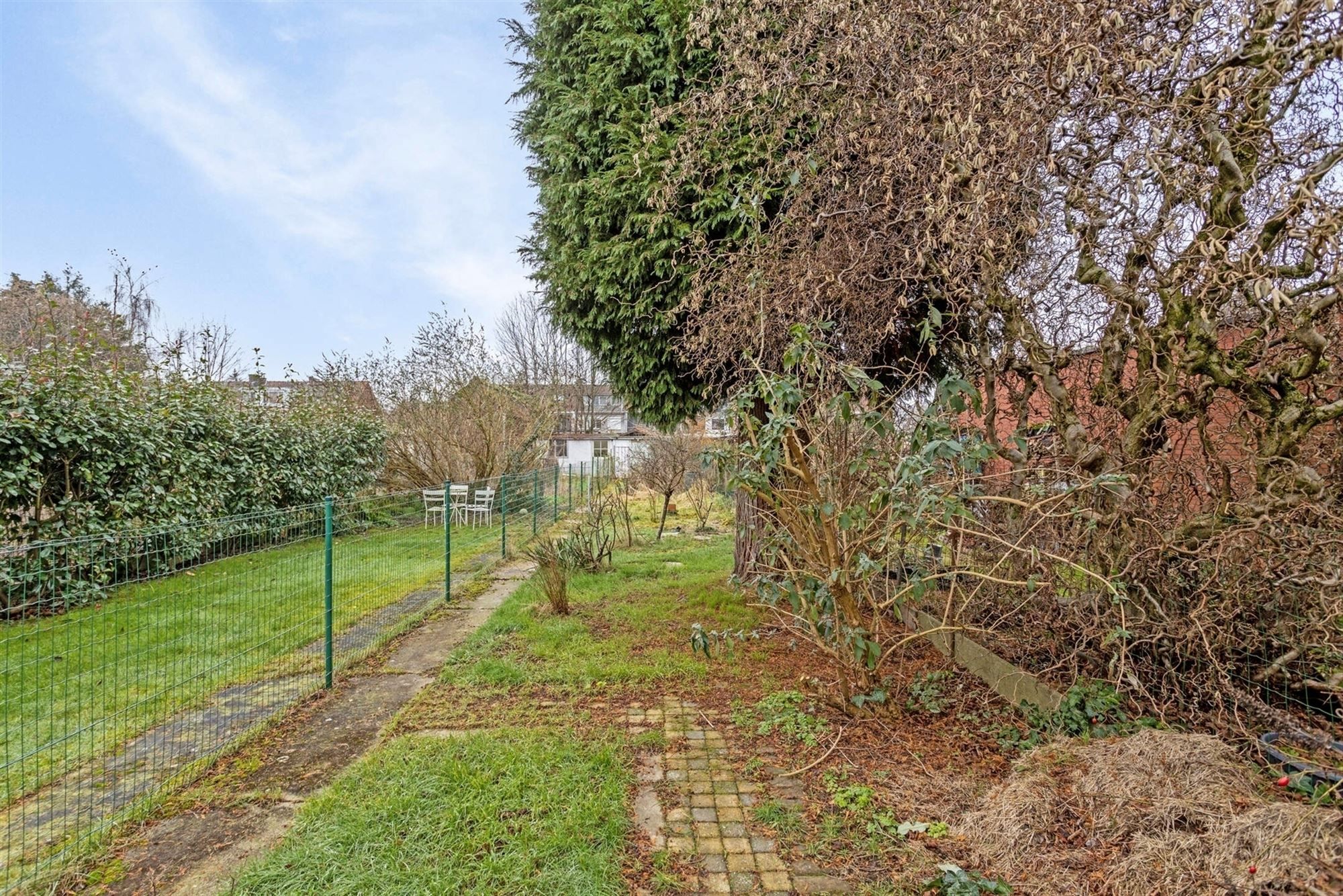 Te renoveren huis met tuin (266m²) grens Hove Mortsel foto 4