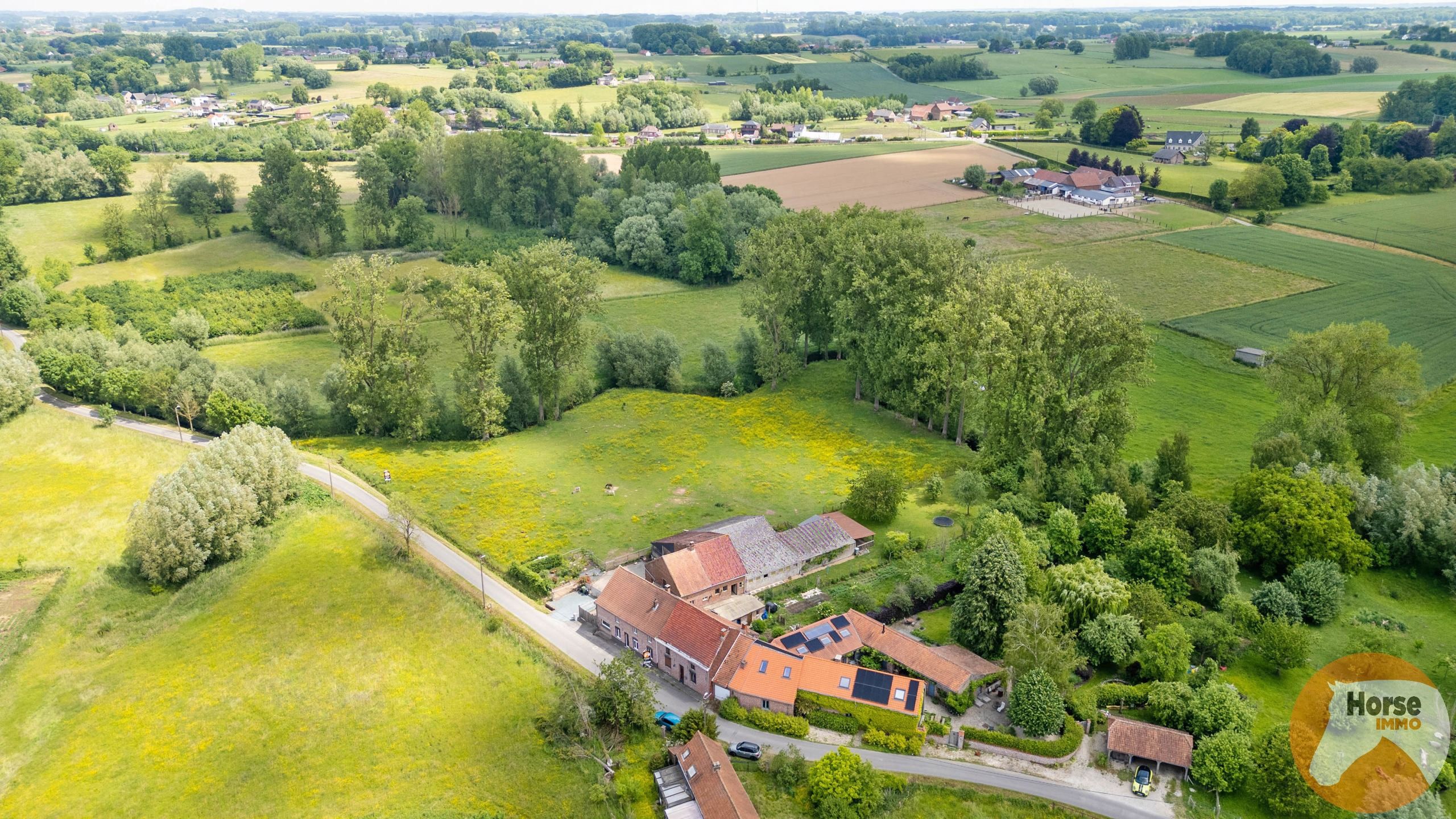 HERNE - Gerenoveerde woning met hangar op +-1ha foto 3