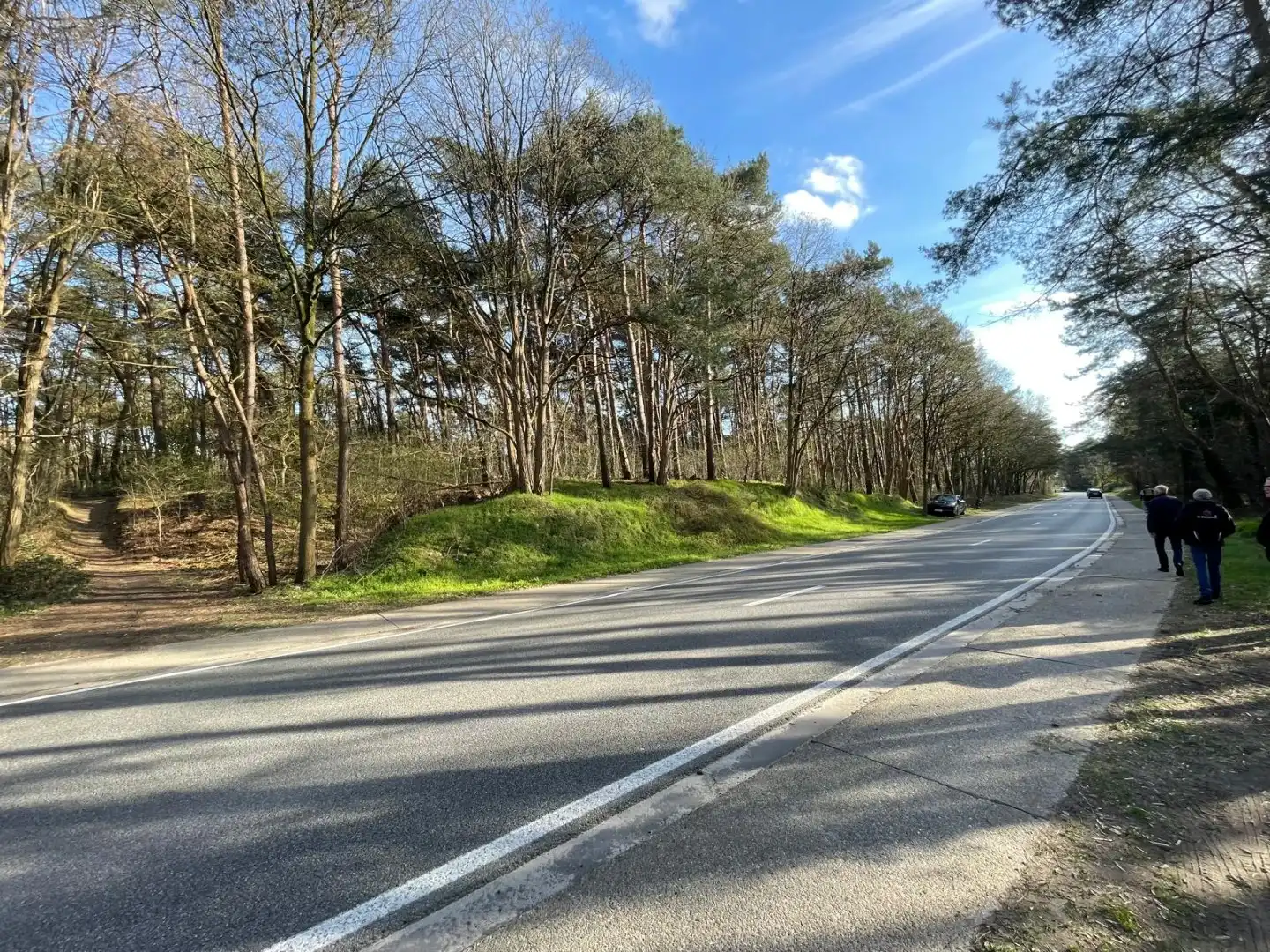 EXCLUSIEF PRIVÉ BOS VAN 2,7 HECTARE – MOL (DE ROOY) foto 5