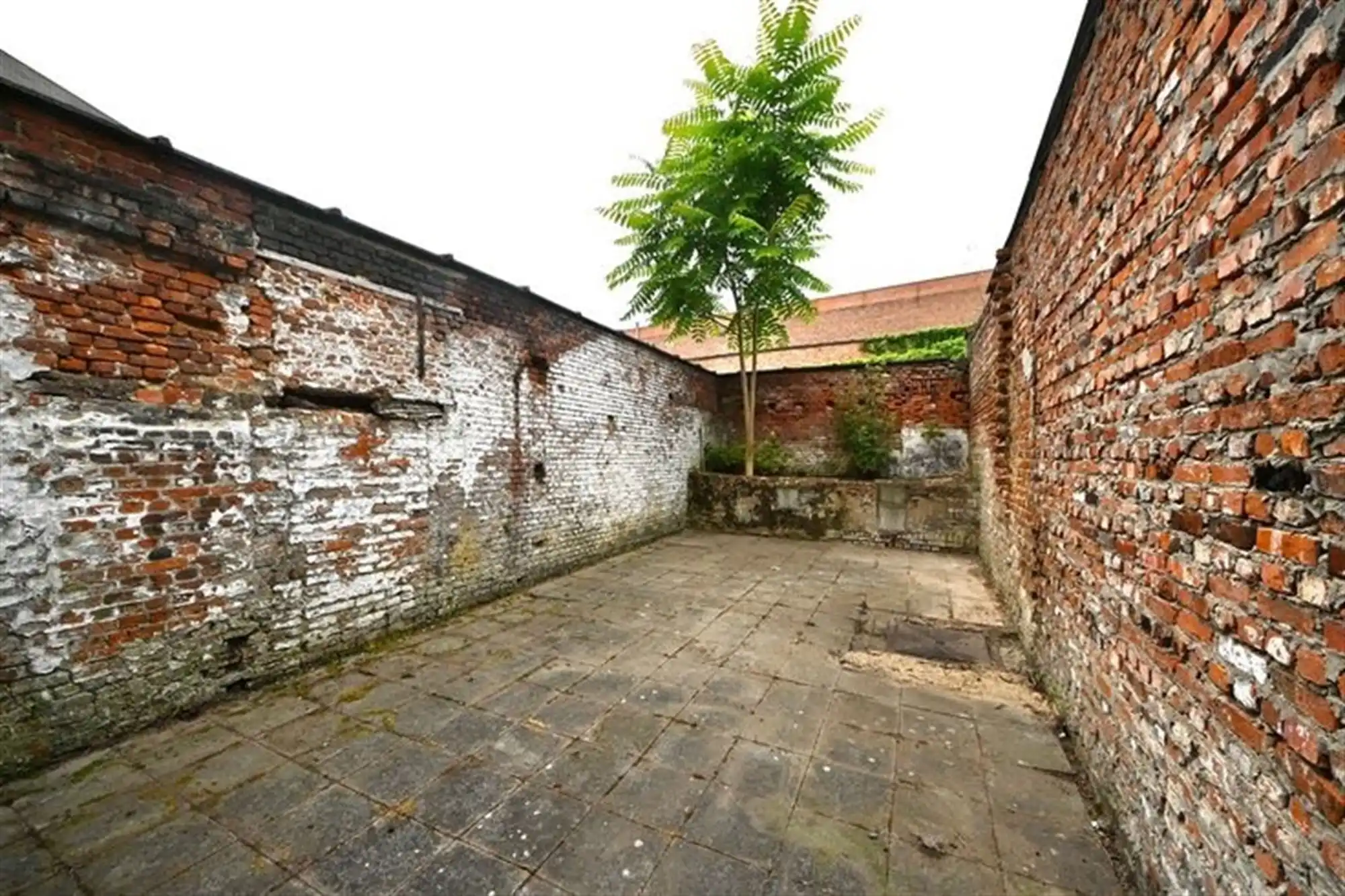 Handelspand met woonst.  foto 15