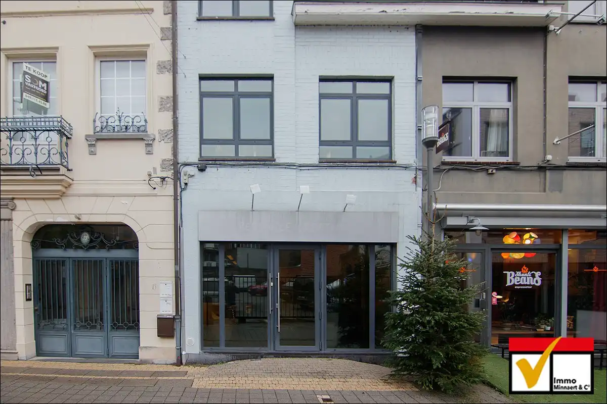 Woonhuis met Handelsgelijkvloers / bureelruimte, Ridderstraat 11 Hasselt foto 2