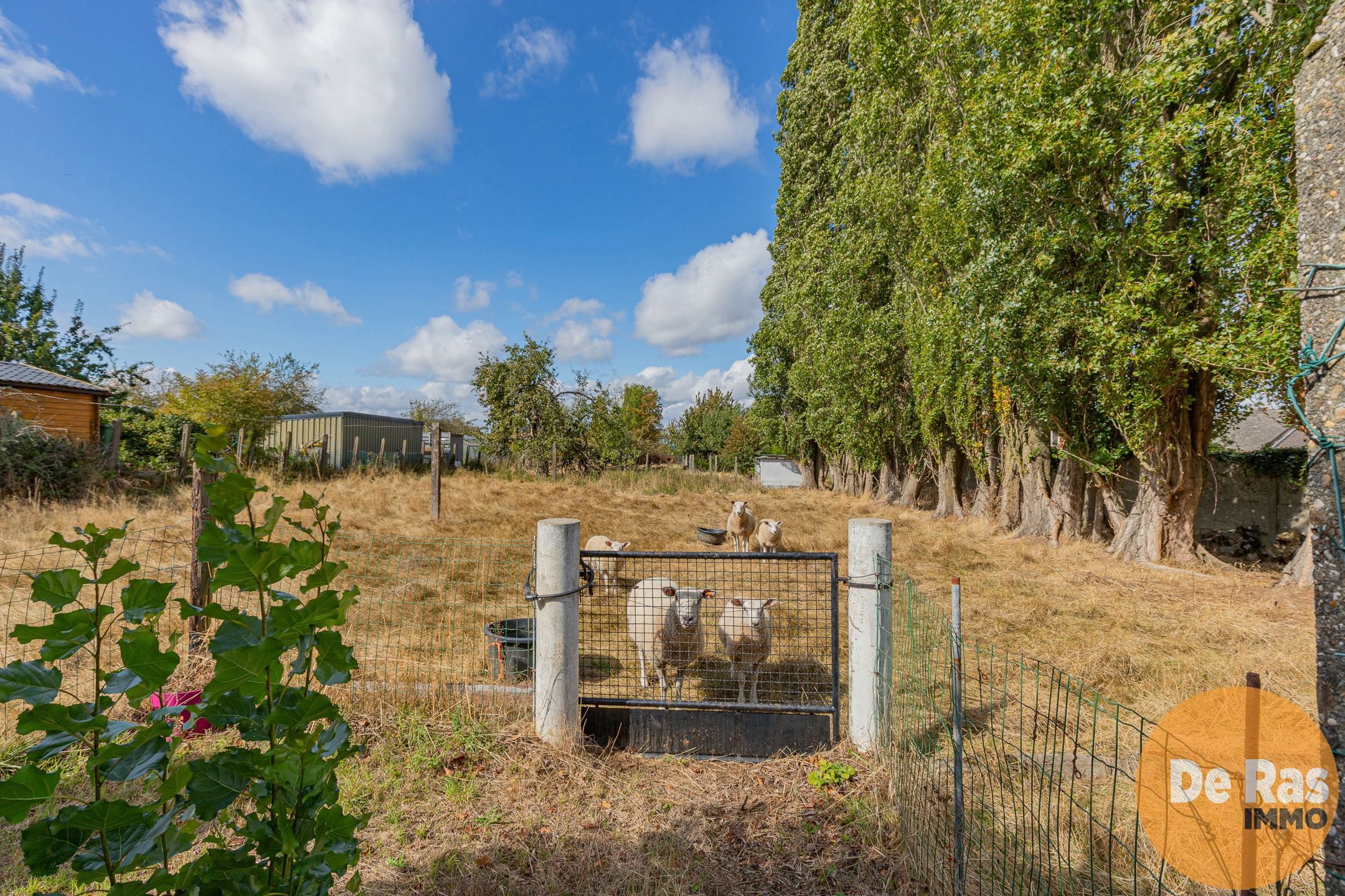 ERPE-MERE- Twee woningen in het landelijke Mere  foto 3