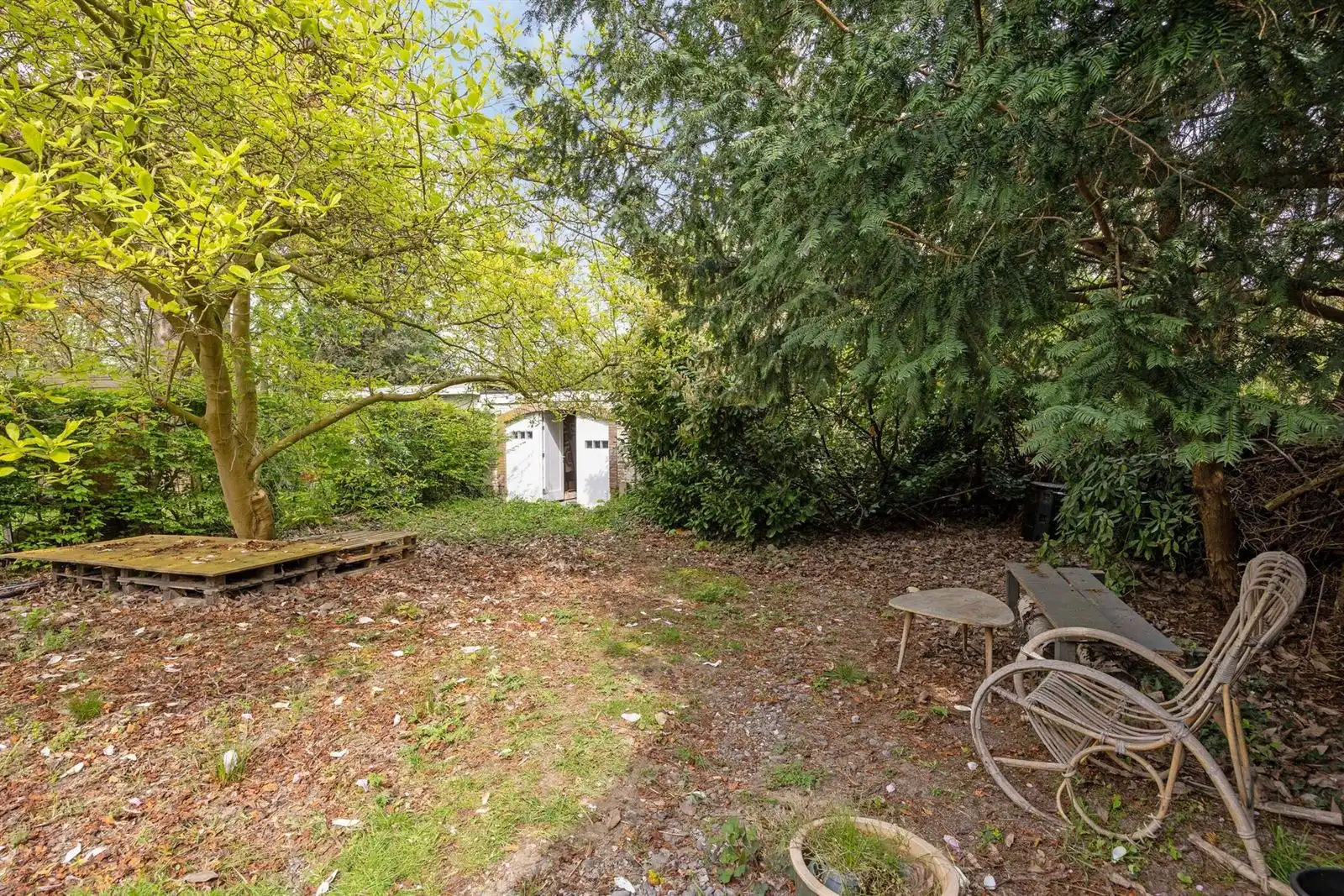 Kottage woning met woon- werk mogelijkheden  foto 27