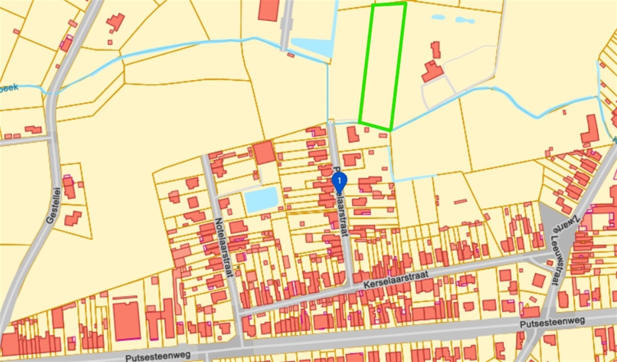 Idyllische paardenweide / bosgrond in Bonheiden foto 12