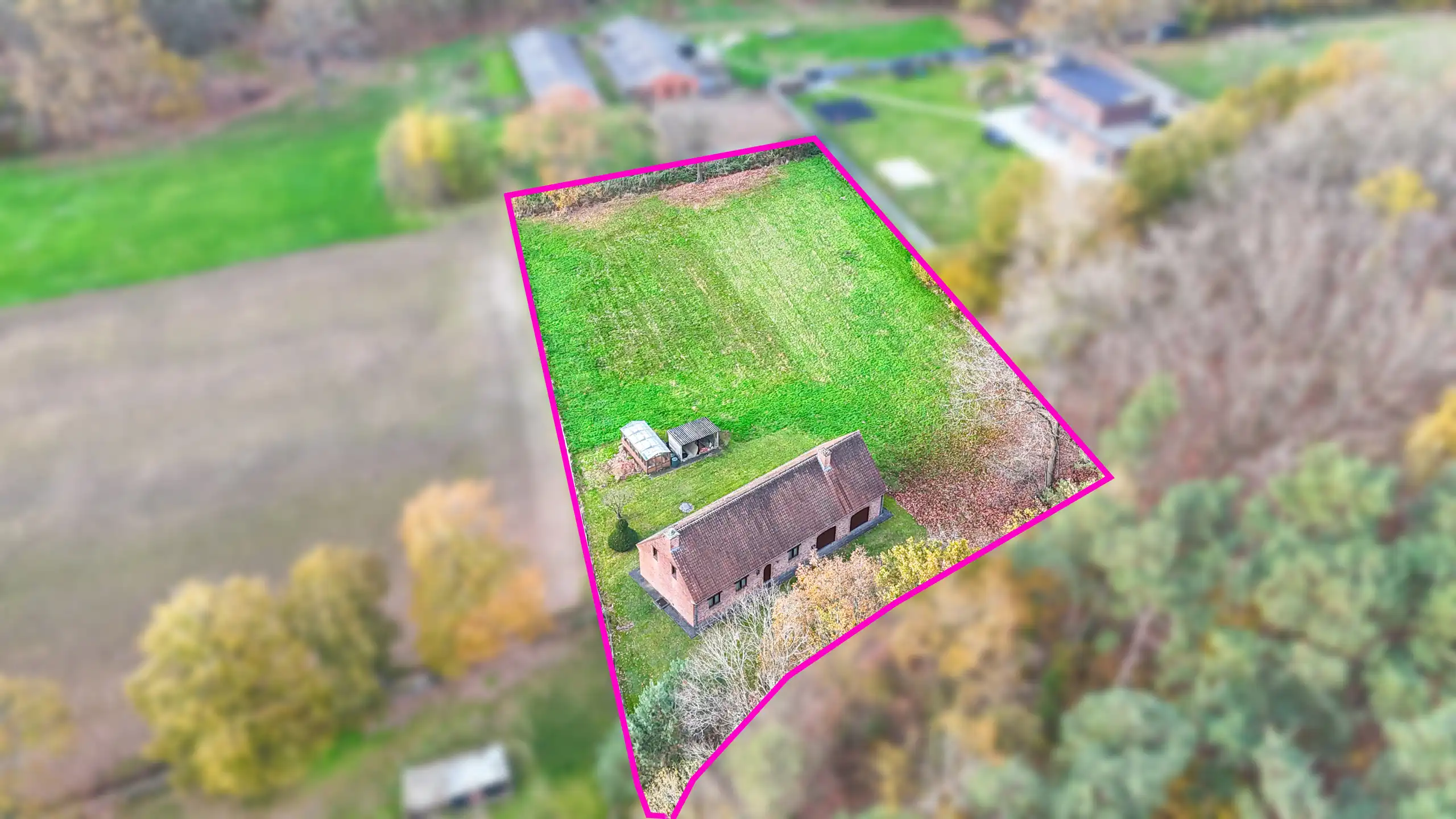 Exclusieve hoeve op 40are met bosrijke ligging te Paal! foto 4