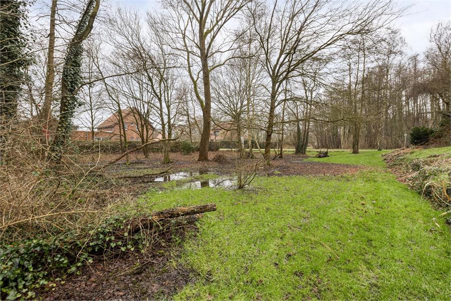 Bouwgrond te koop in Tessenderlo-Ham op perceel van 16a 76ca foto 4