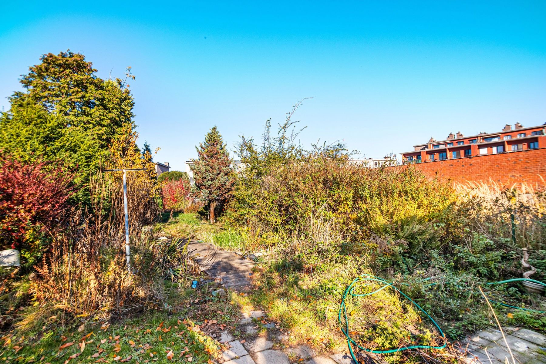 Renovatieproject op ruim perceel foto 30