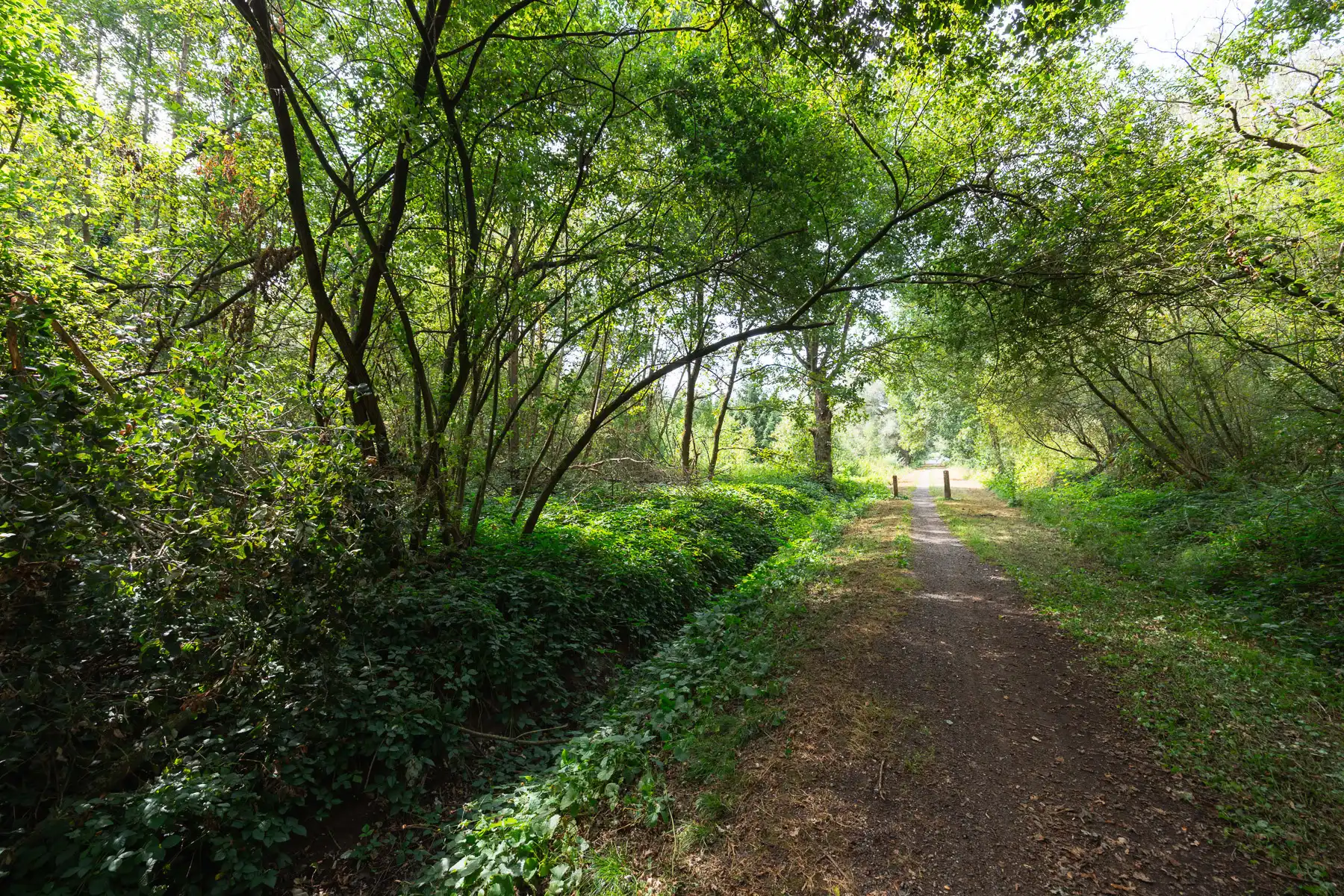 Prachtig stuk natuur foto 7
