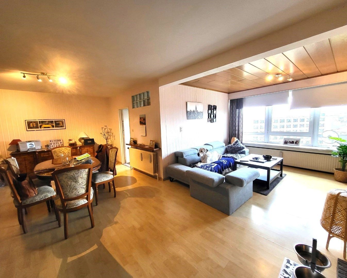 Hoog en droog...aan de voet van het stadscentrum. foto 6