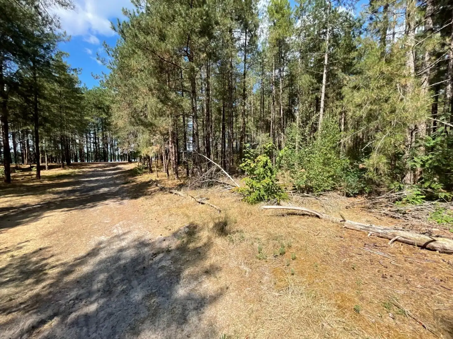 Twee halfopen bebouwingen samen te koop  met uitzicht op natuur en water foto 8