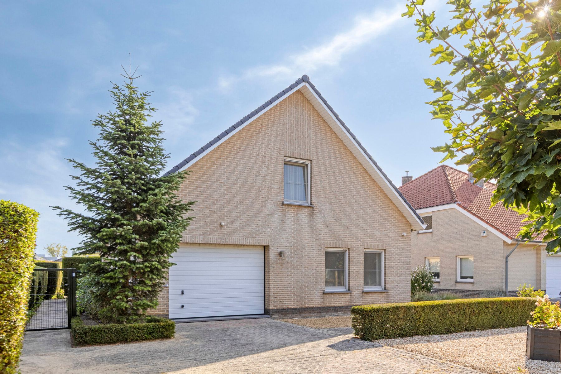 Lichtrijke woning met 3 slaapkamers in stadskern Maaseik.  foto 3