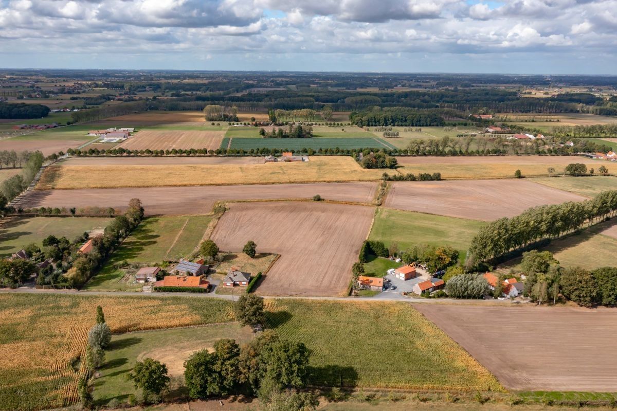 Hoeve op circa 10 ha te koop te Maldegem foto 3