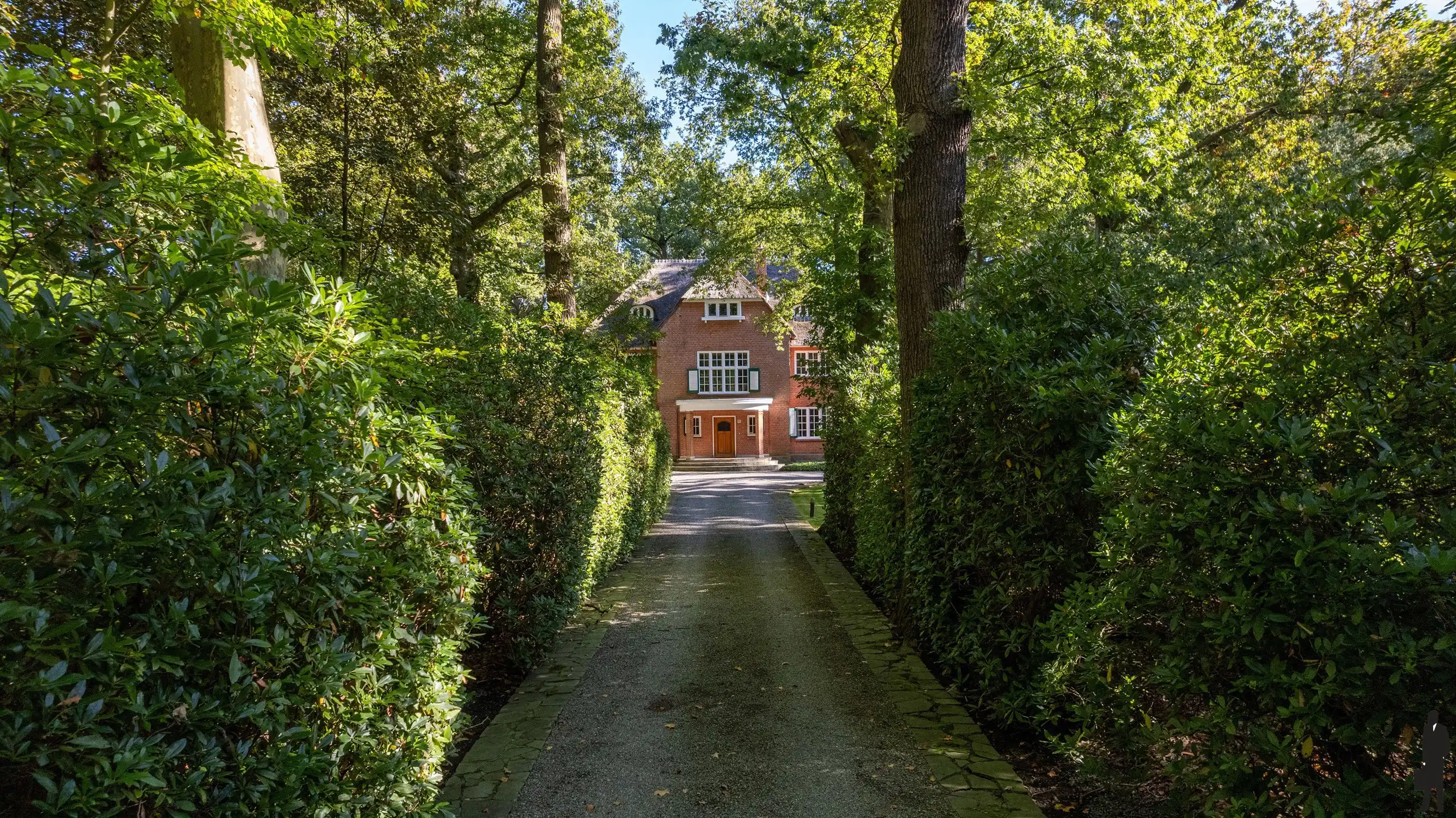 In Vriesdonk, rietgedekte karaktervolle villa met authentieke elementen, prachtige parktuin, hoge plafonds en veel verbouwingspotentieel! &nbsp;Grondoppervlakte &nbsp;is ca. 9127m². foto 21