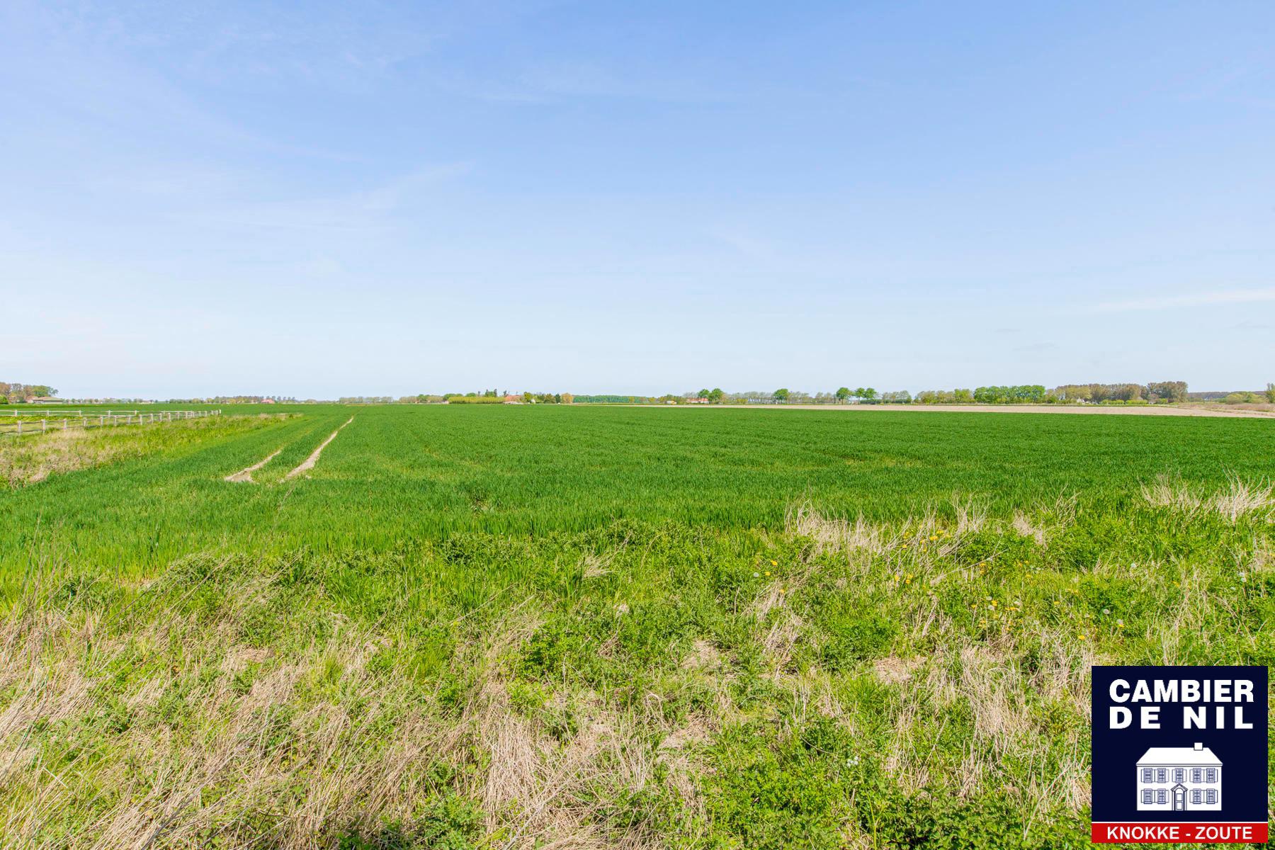 Prachtige woning, rustig gelegen in de polders van Zuidzande foto 3