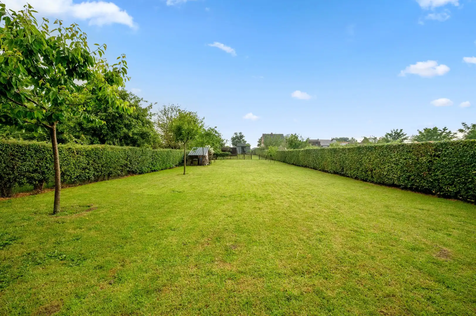 Moderne open bebouwing met prachtige tuin met zwemvijver gelegen in het rustige Eliksem (Landen) foto 28