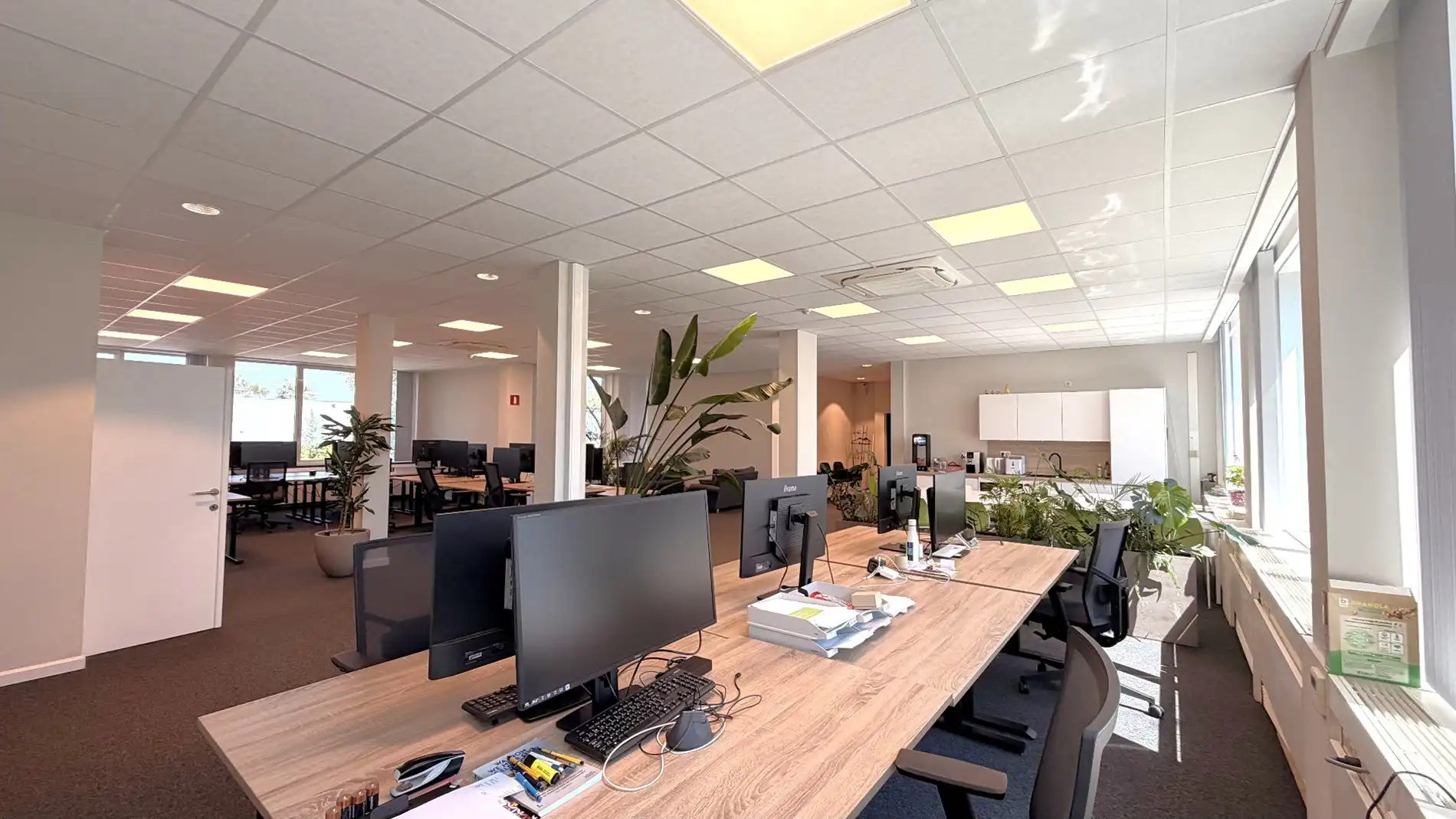 Instapklare kantoren te huur vlakbij N16 in Bornem foto 8