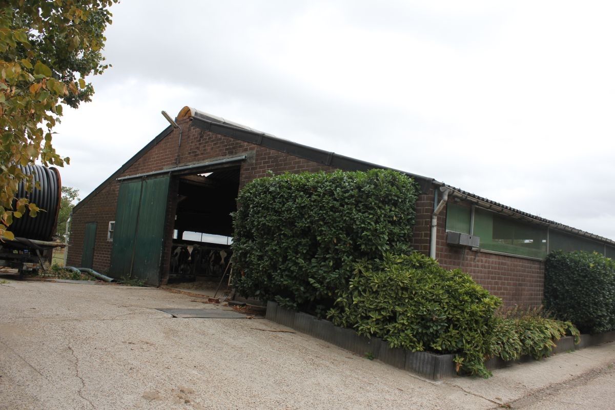 Melkveebedrijf met 38,70 ha grond te koop te Bocholt foto 11