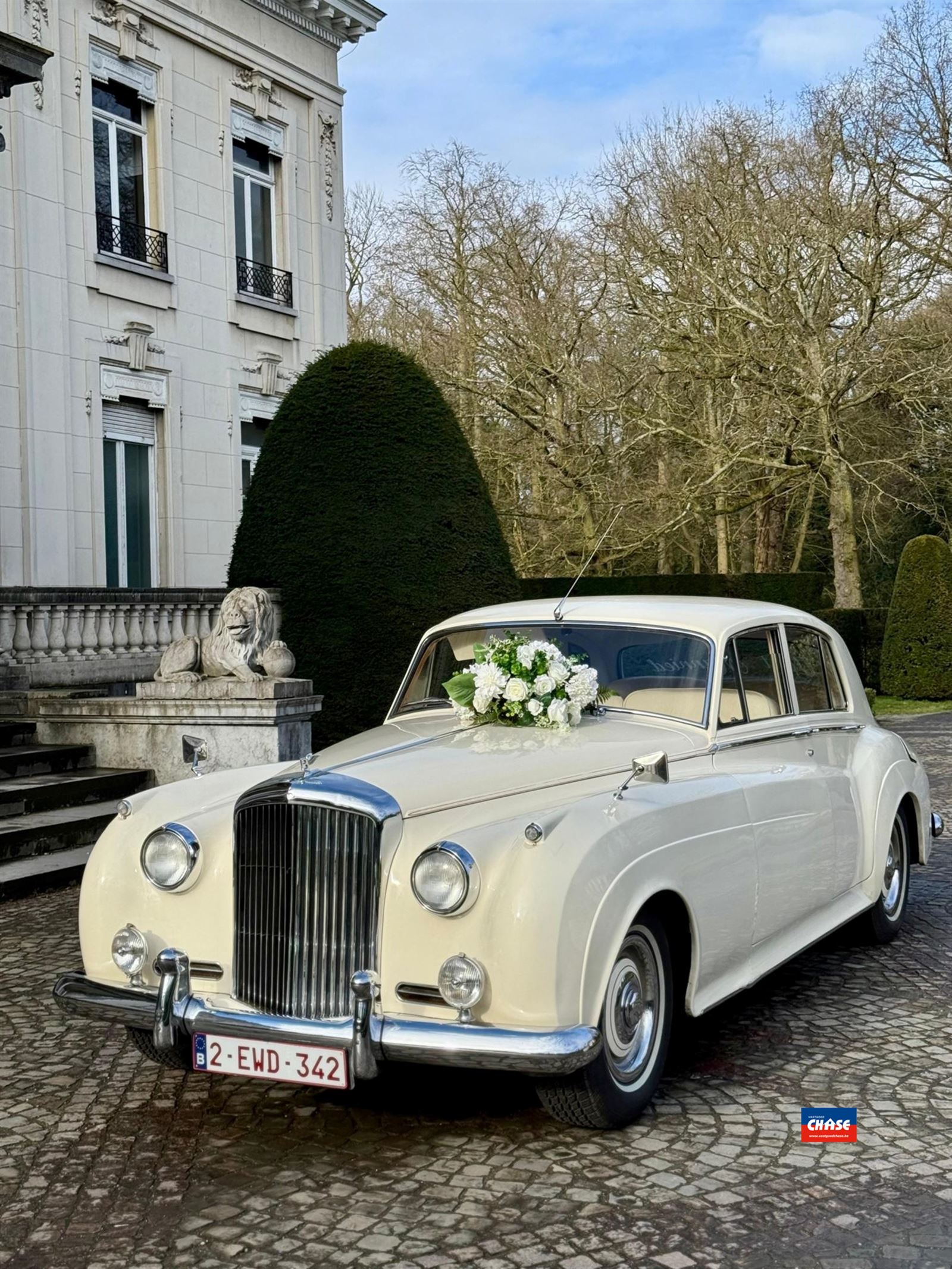 Over te nemen Brasserie regio Noord-Antwerpen foto 7