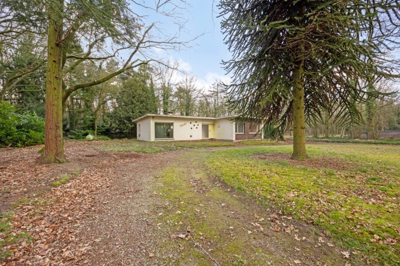 Hoofdfoto van de publicatie: Renovatieproject in de Bossen van Lembeke – Een unieke kans!