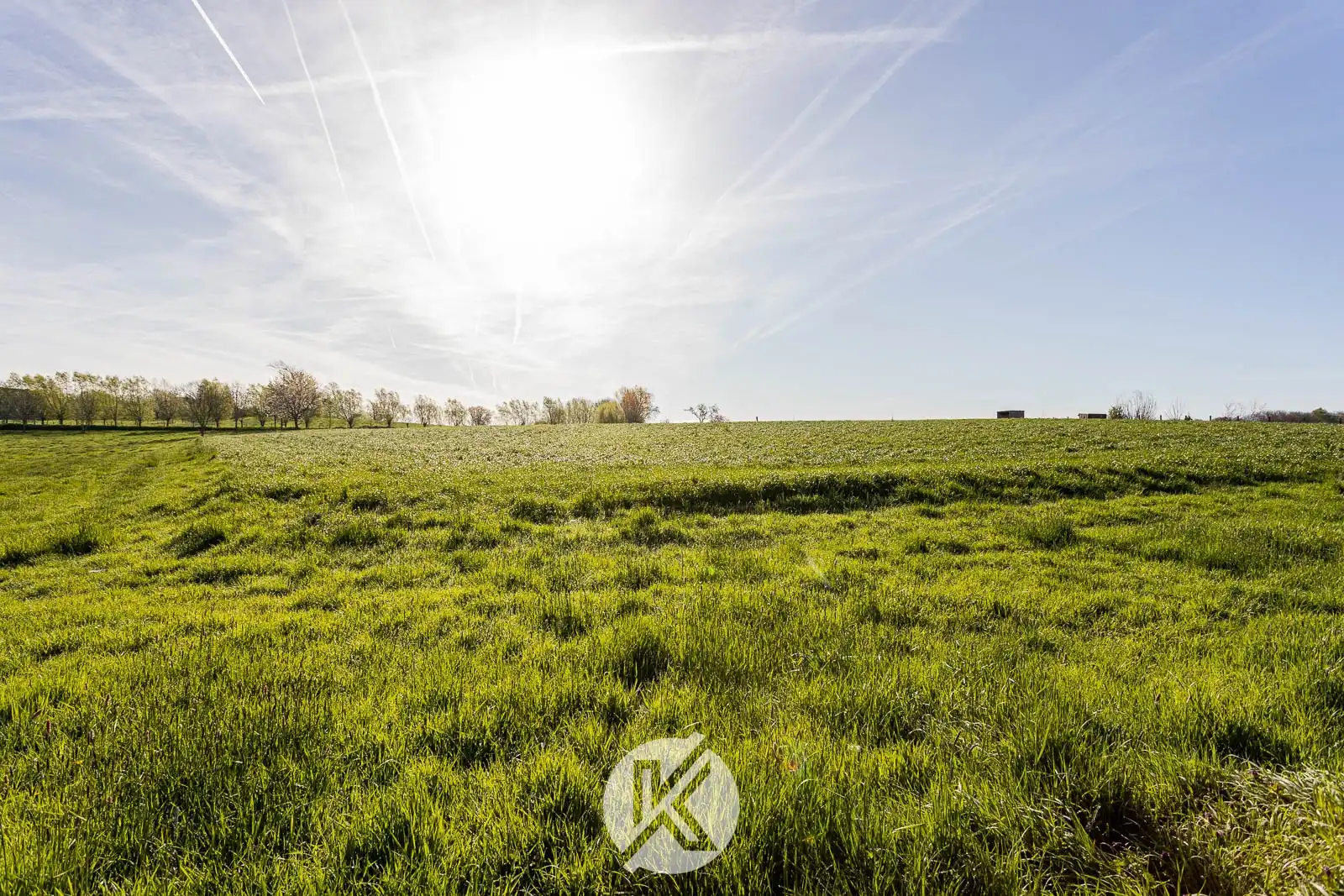 Robuuste woning met nabijgelegen weide van 10 are foto 5