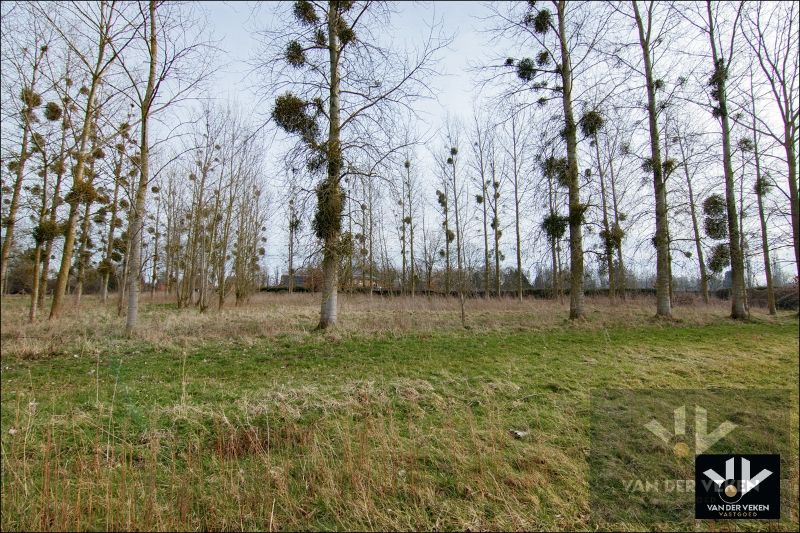 11,5 hectaren landbouwgrond foto 10