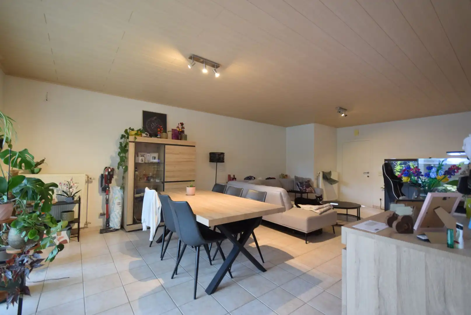 RUSTIG GELEGEN GEZINSWONING MET 3 SLAAPKAMERS, GARAGE EN ZONNIGE TUIN foto 2
