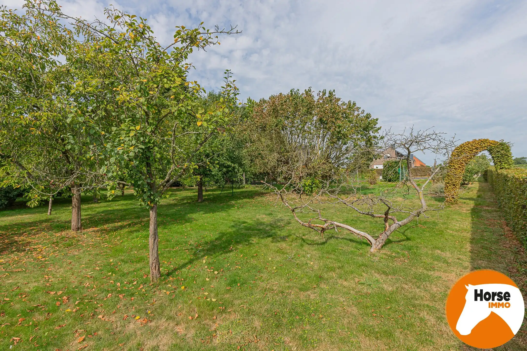 WICHELEN – Karakteristiek burgerhuis op schitterend perceel foto 22