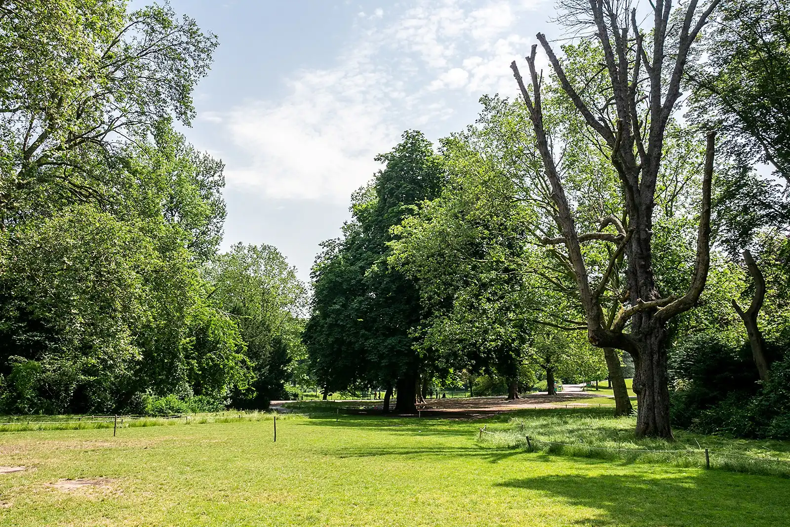 Ruimte en luxe met zicht op het stadspark! foto 21