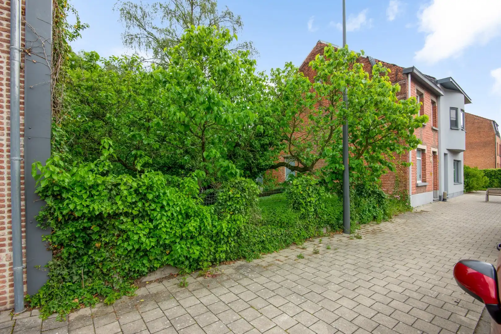 Te renoveren woning met bouwgrond en veel potentieel op rustige ligging in Puurs-Sint-Amands! foto 4