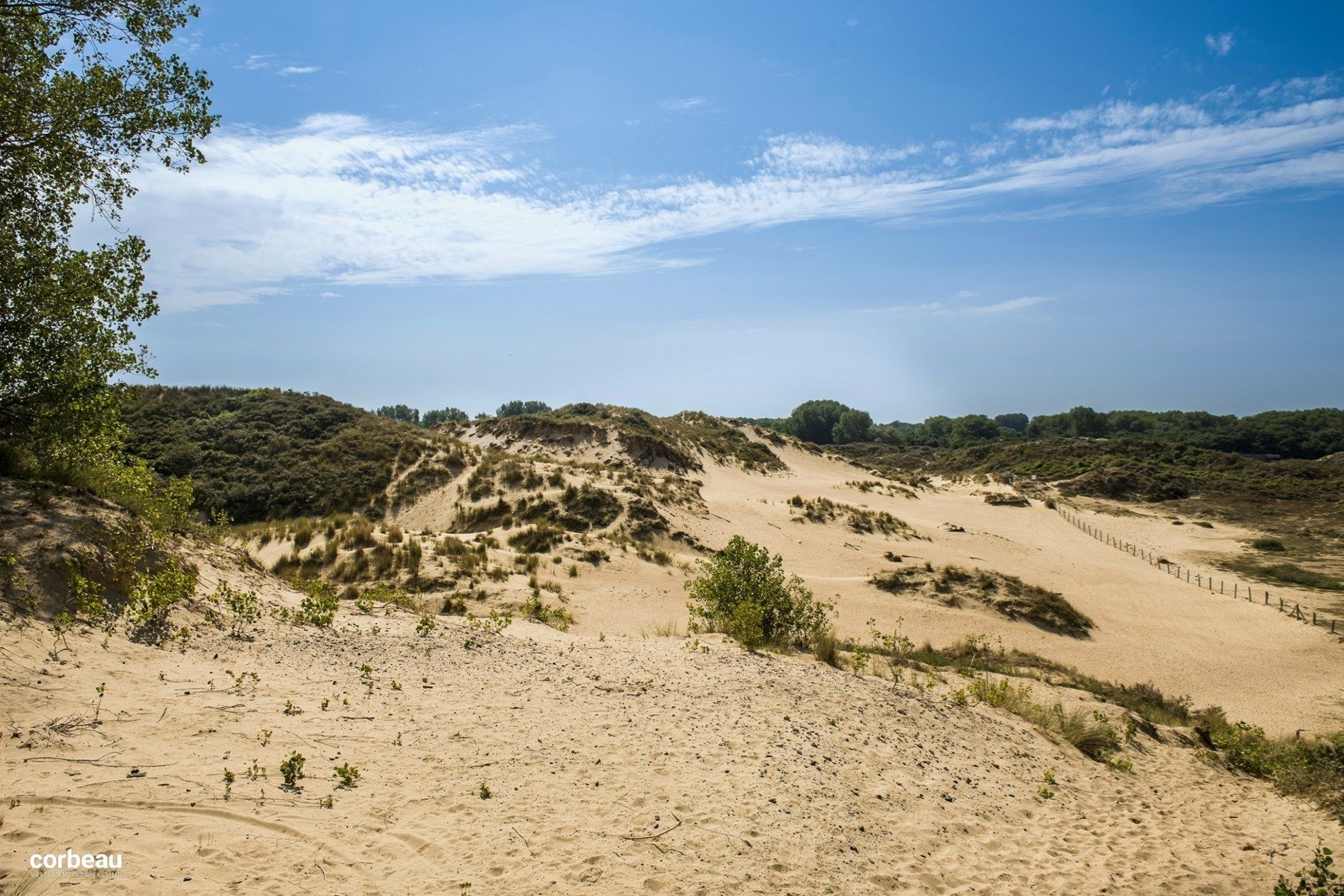 Stijlvol en luxueus wonen in hartje Koksijde nabij de natuur, zee en shopping! foto 7