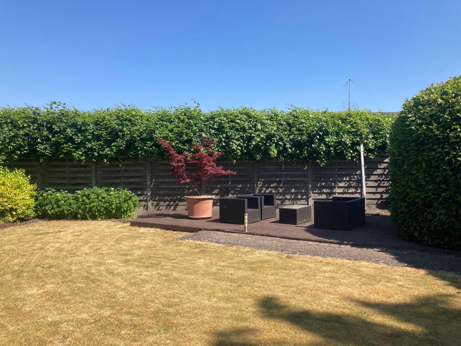 Huis te huur foto 43