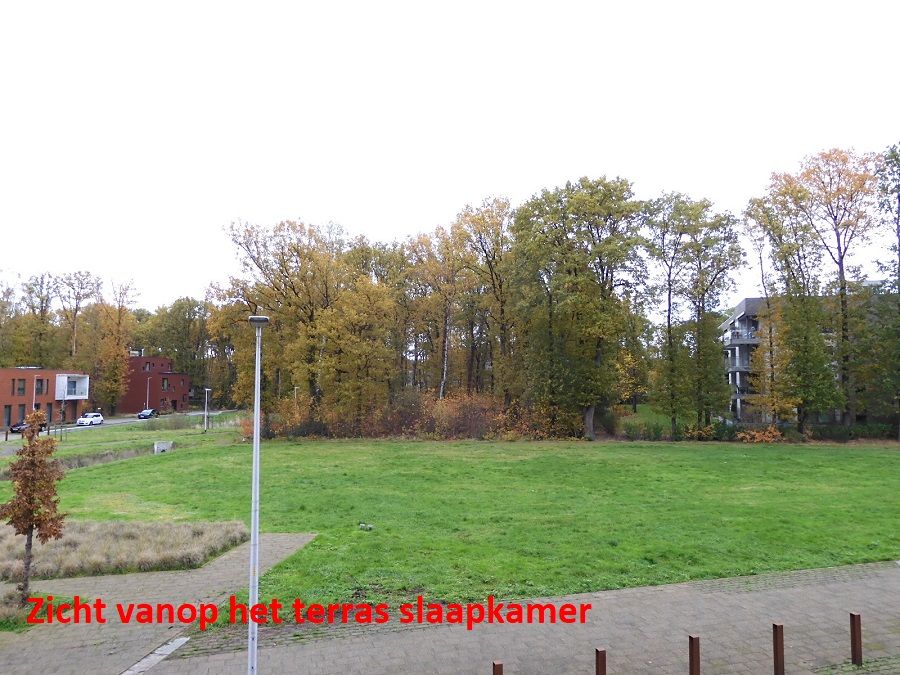 Een verhuurde assistentie woning - een ideale vastgoedinvestering! foto 13